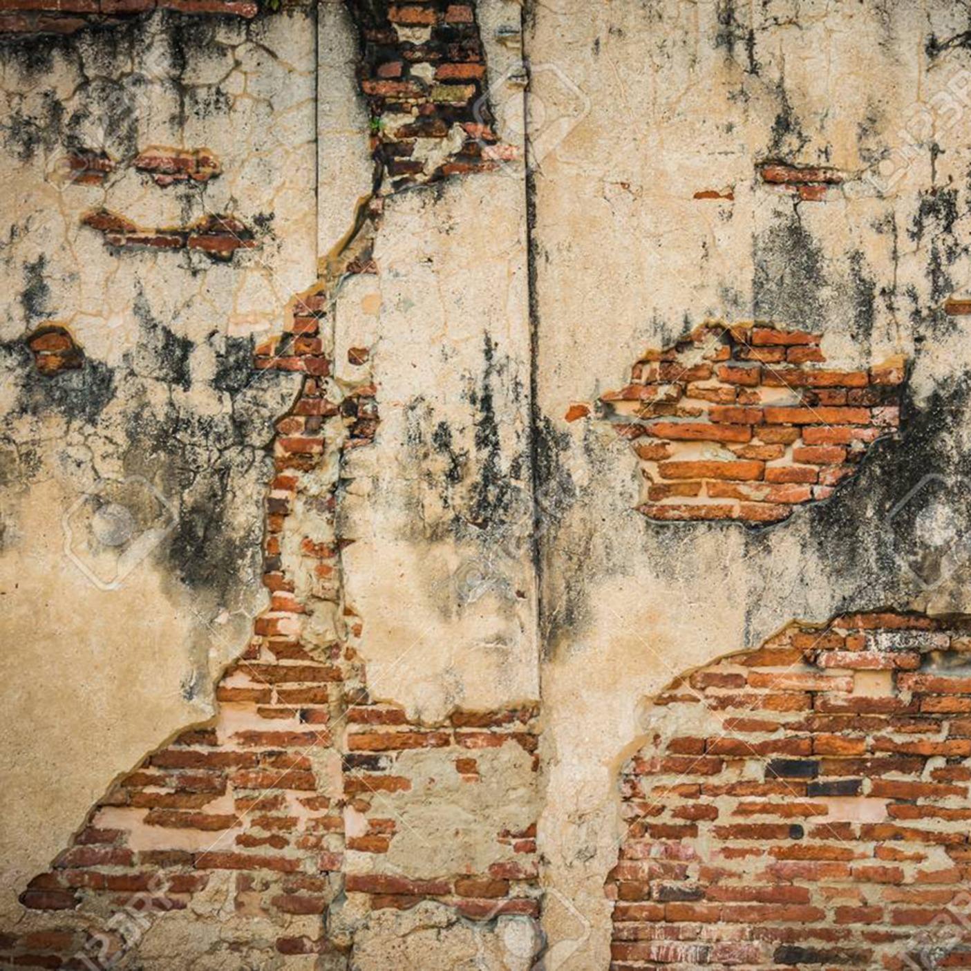 If These Old Walls Could Talk