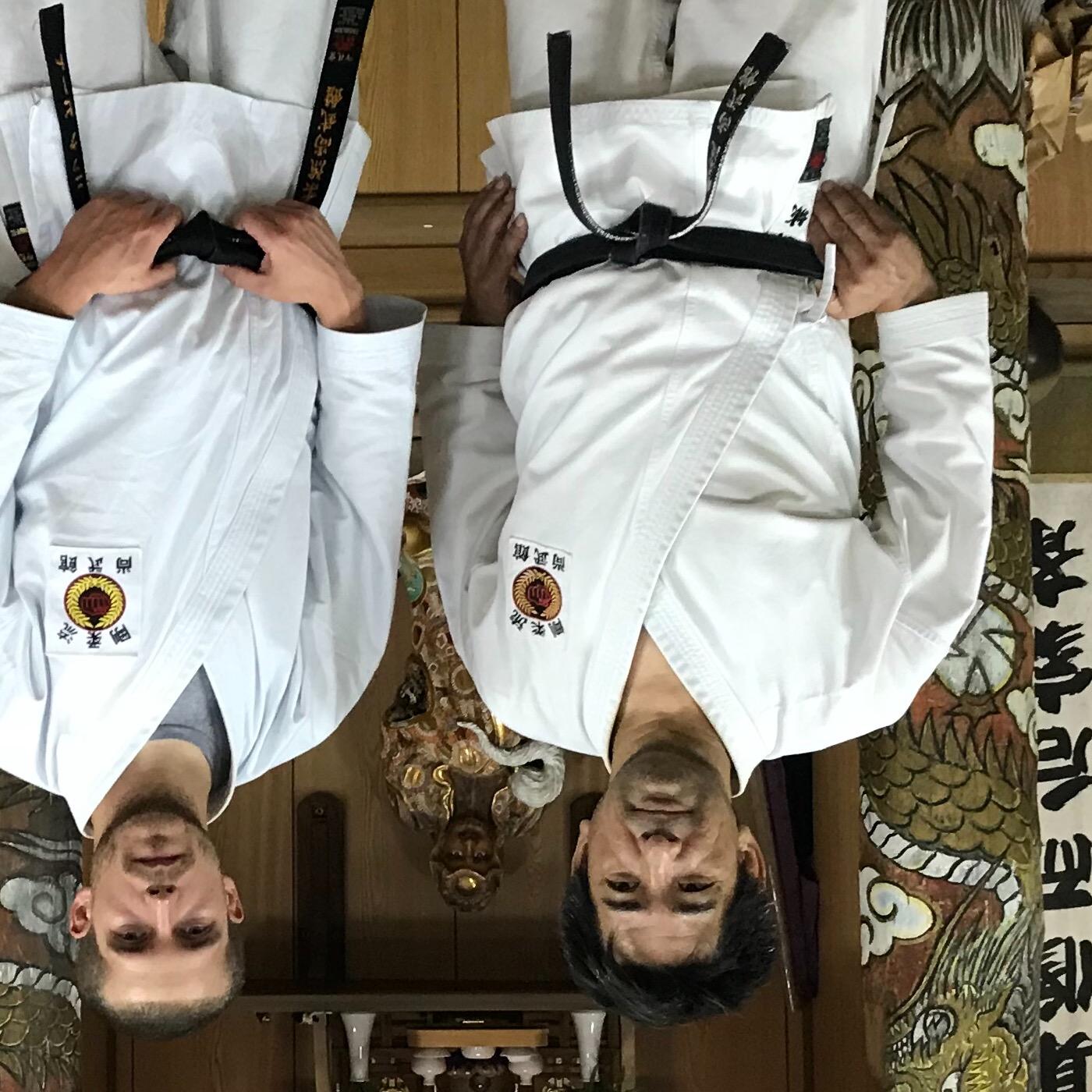 Goju Ninja