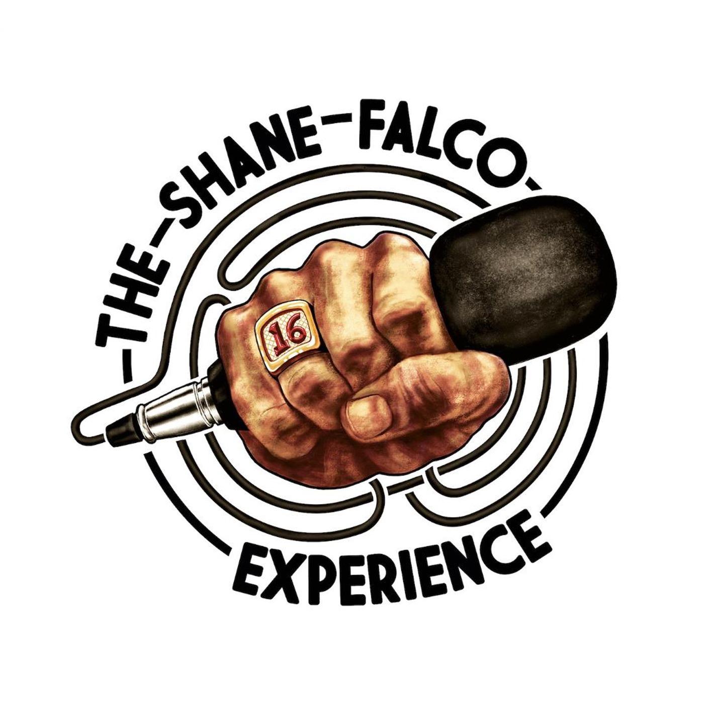 The Shane Falco Experience