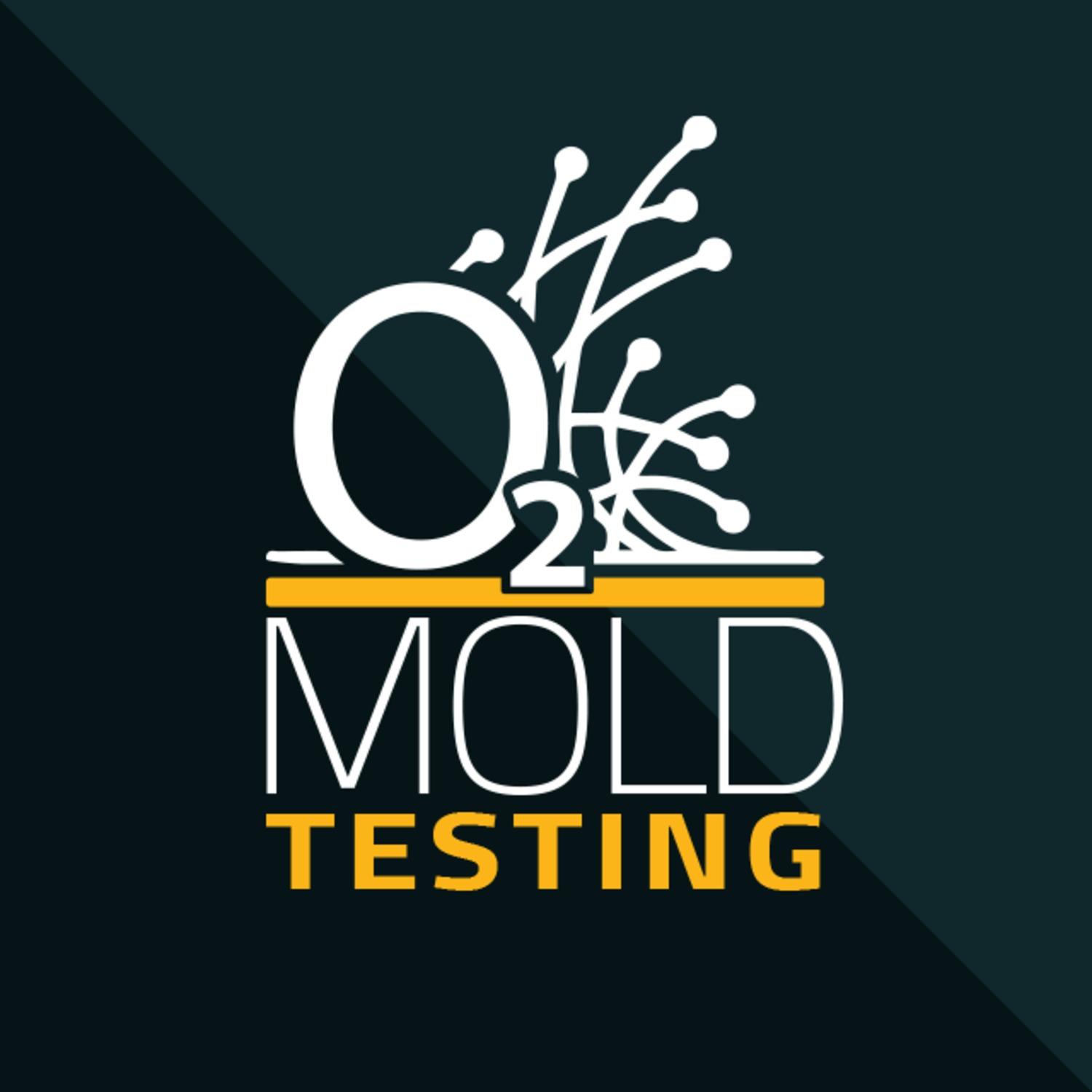 Mold Inspection Secrets