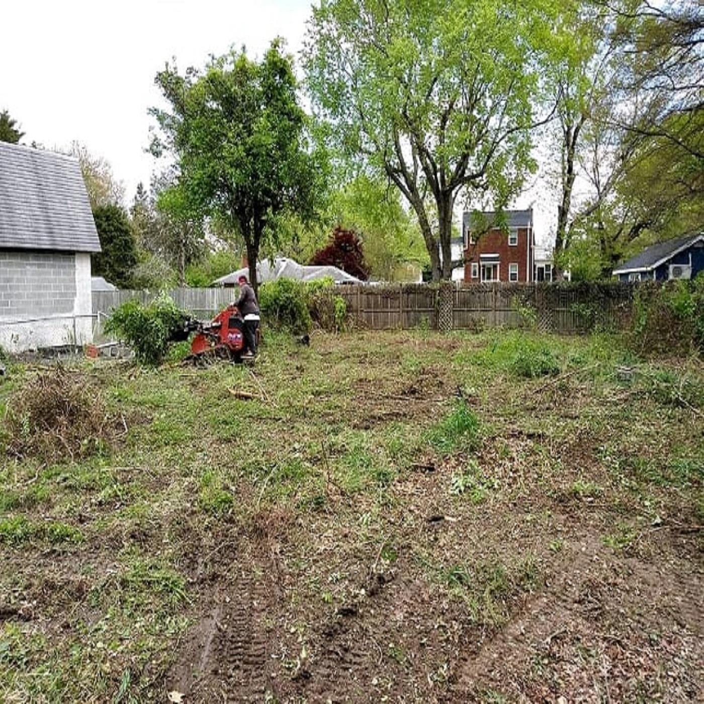 Vienna Tree Service & Landscaping