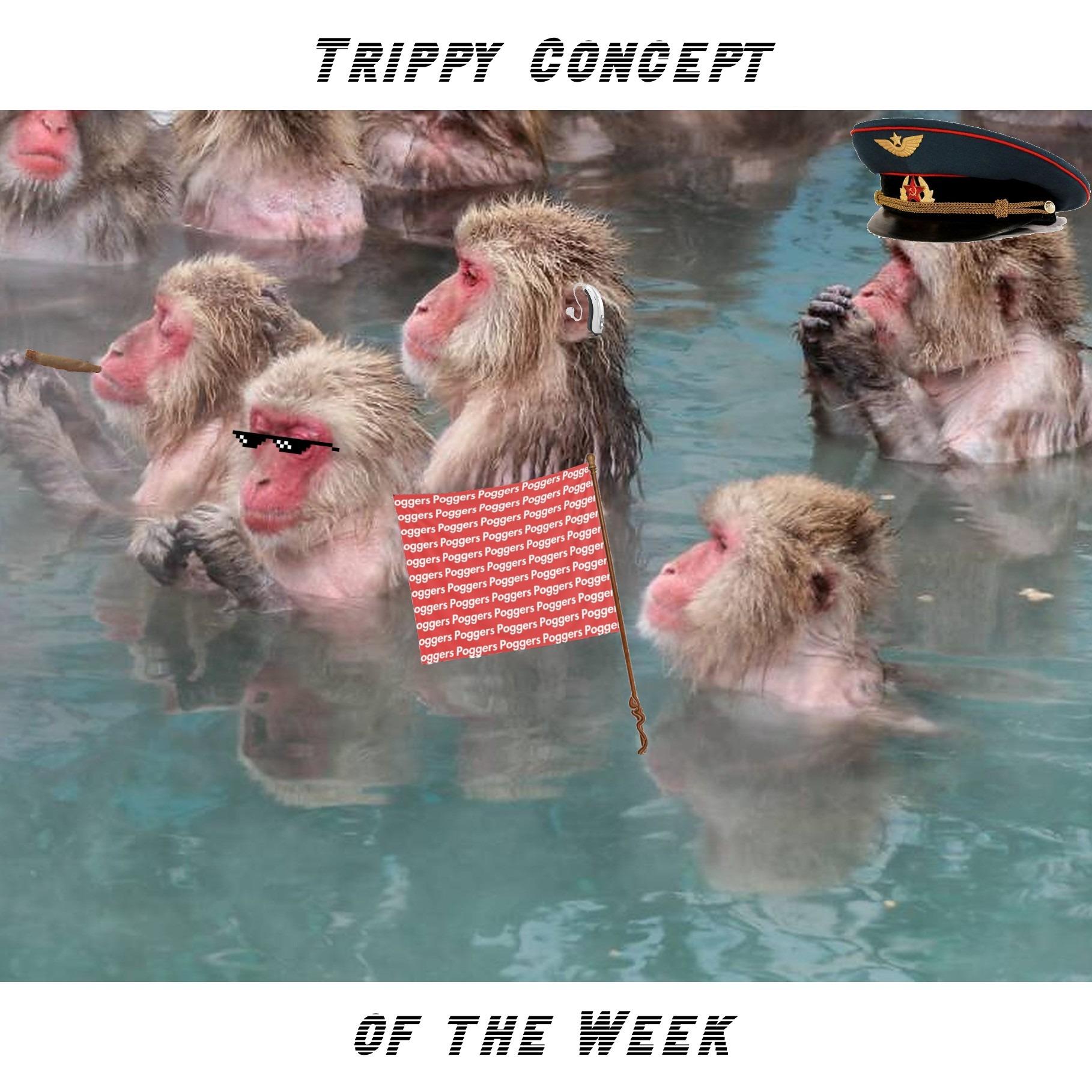 Trippy Concept of the Week