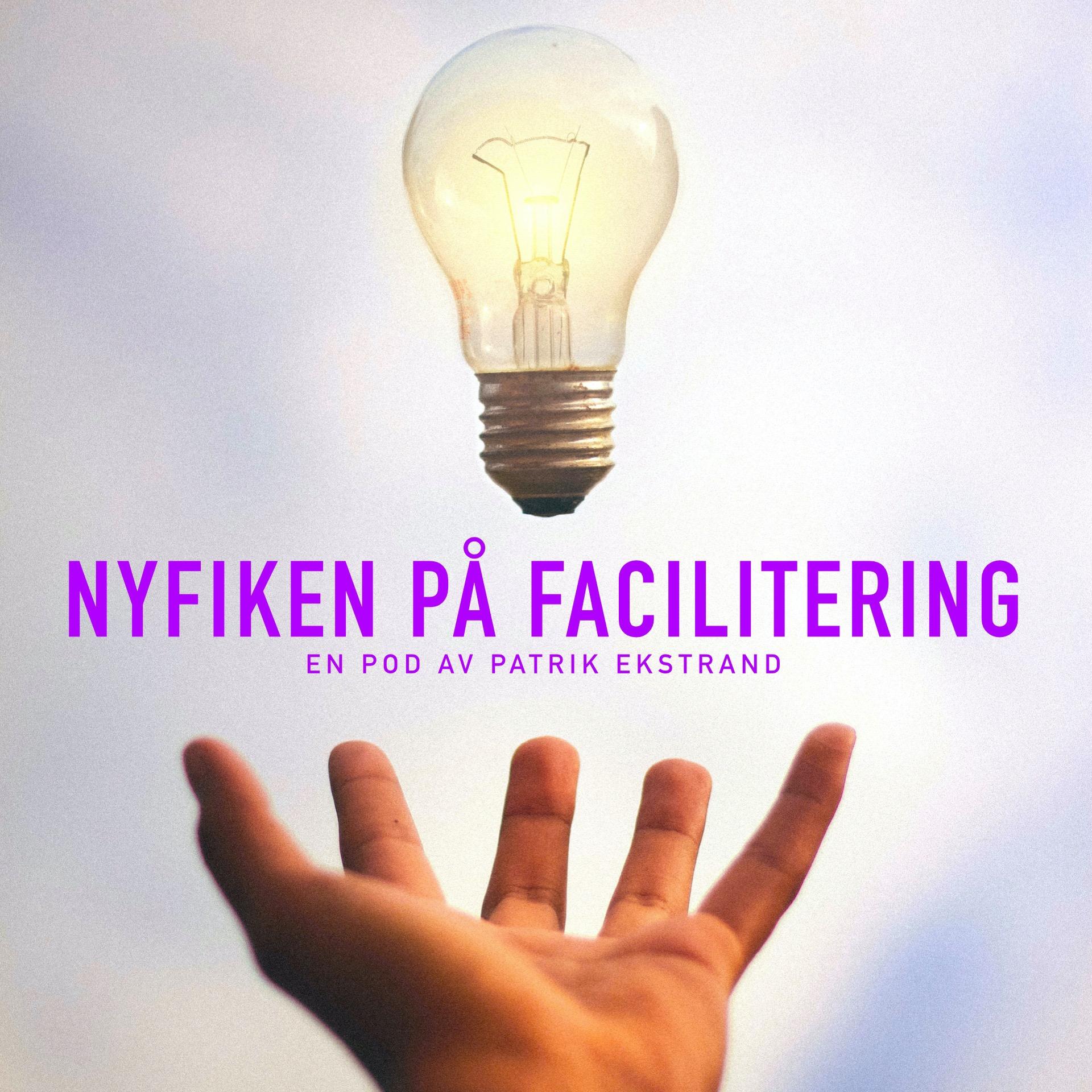 Nyfiken på Facilitering