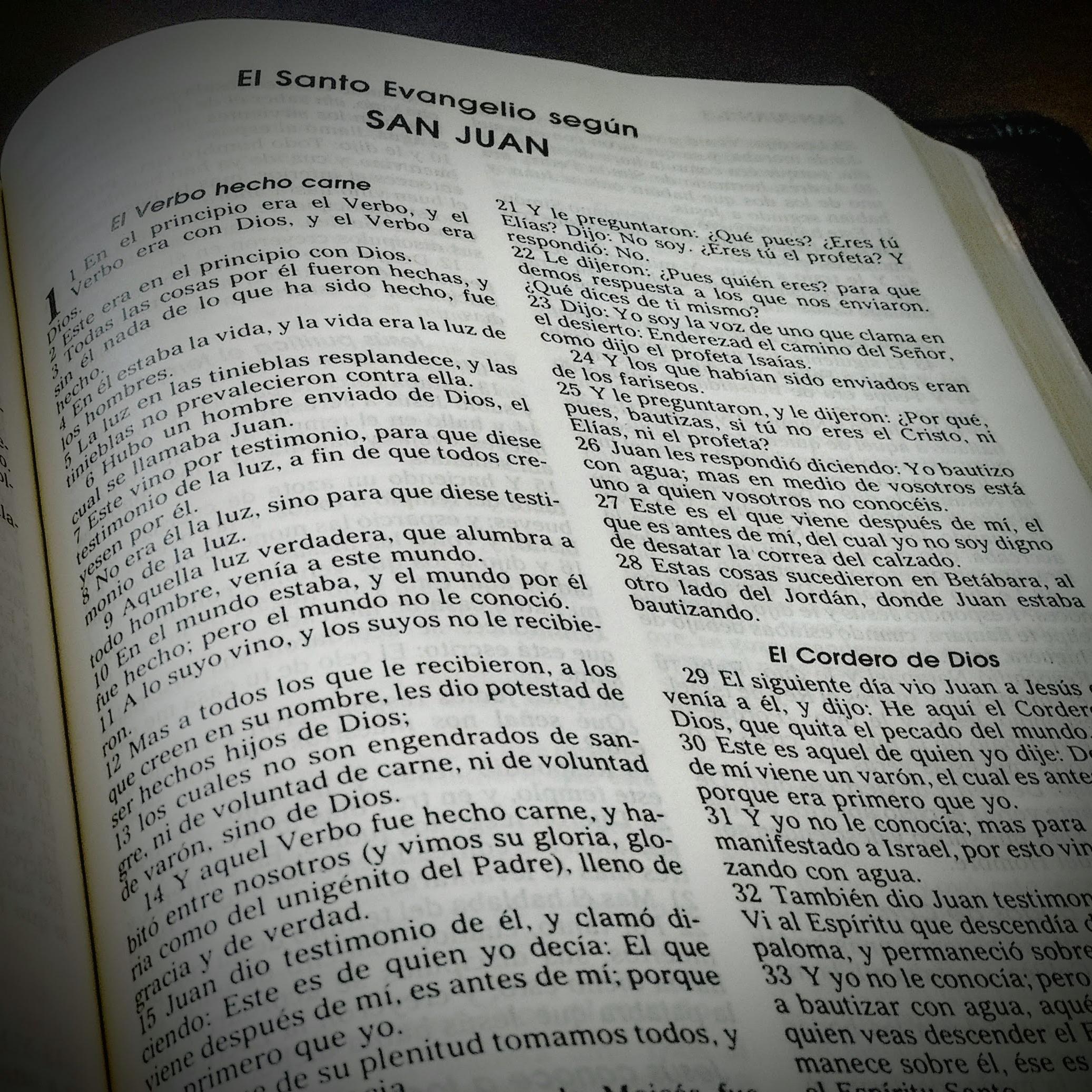 Sermones