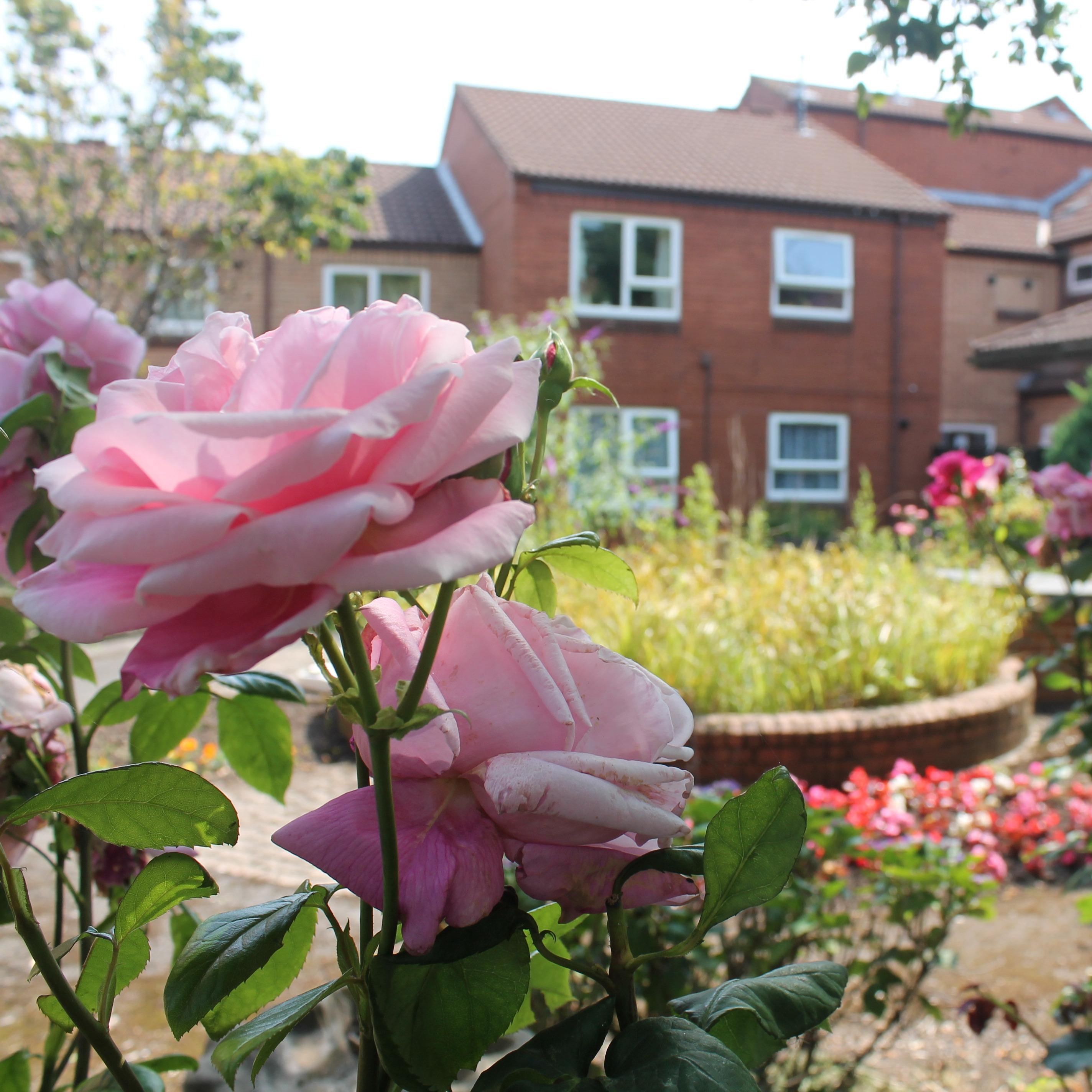 Housings Hot Topics - Broxtowe Borough Council