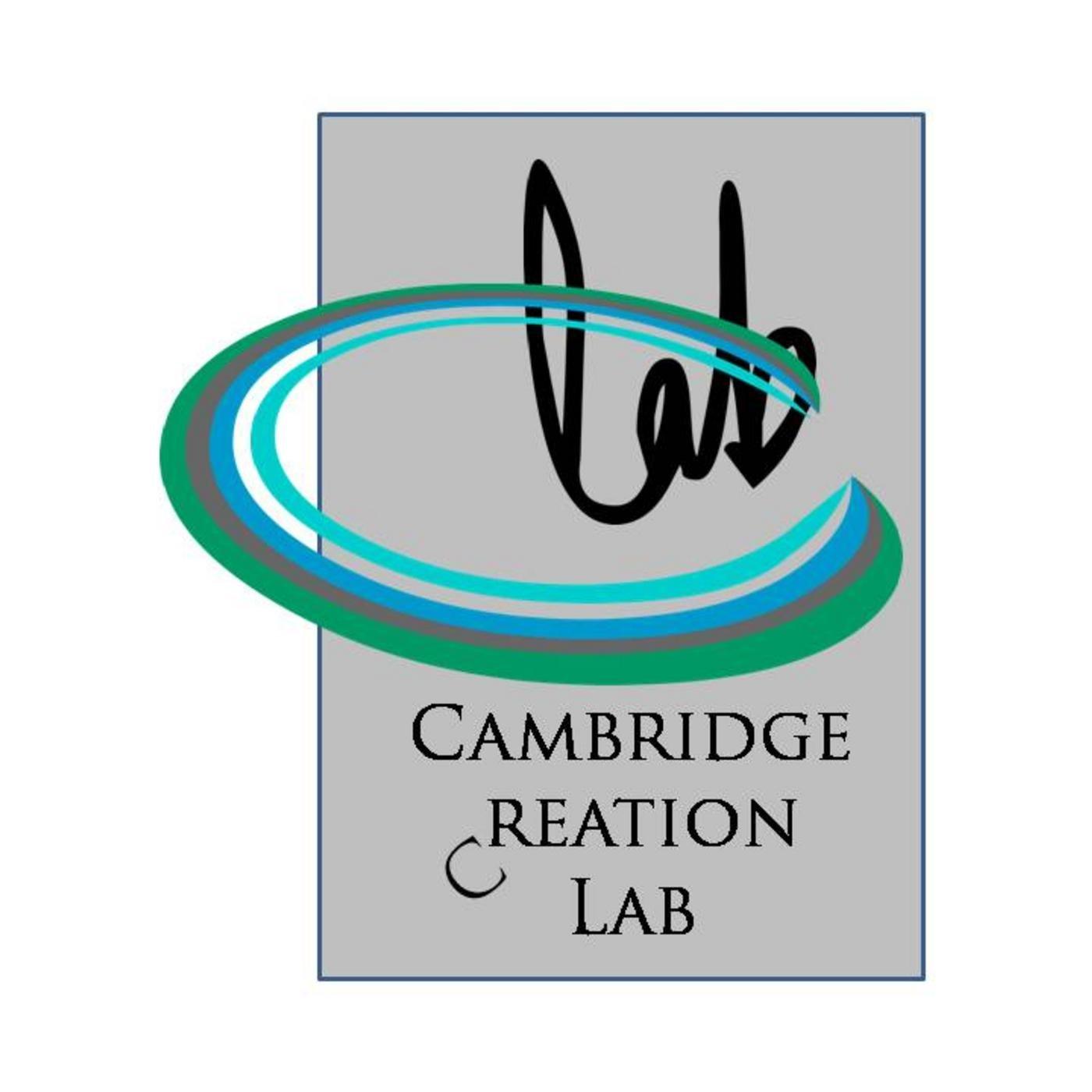 Author, composer, Founder of Cambridge Creation Lab
