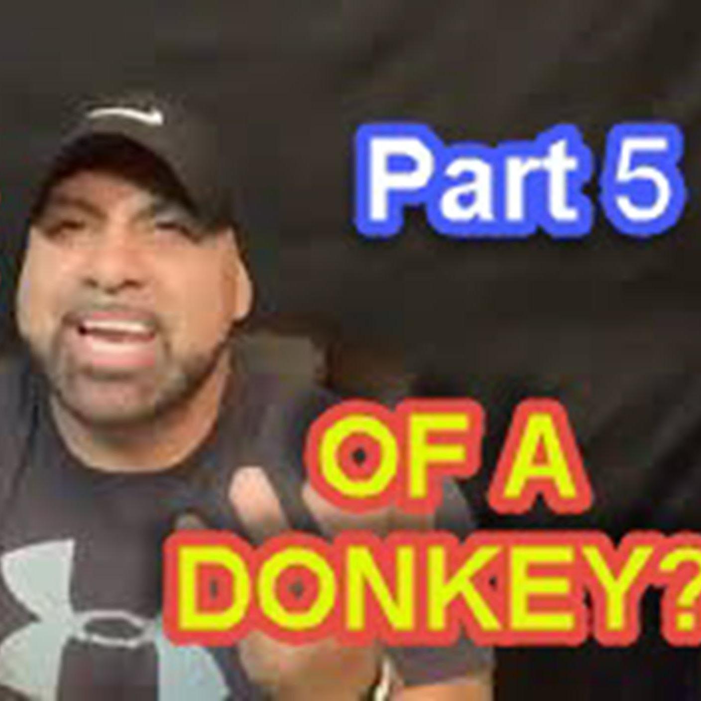 The Palm and the Donkey (part 5)