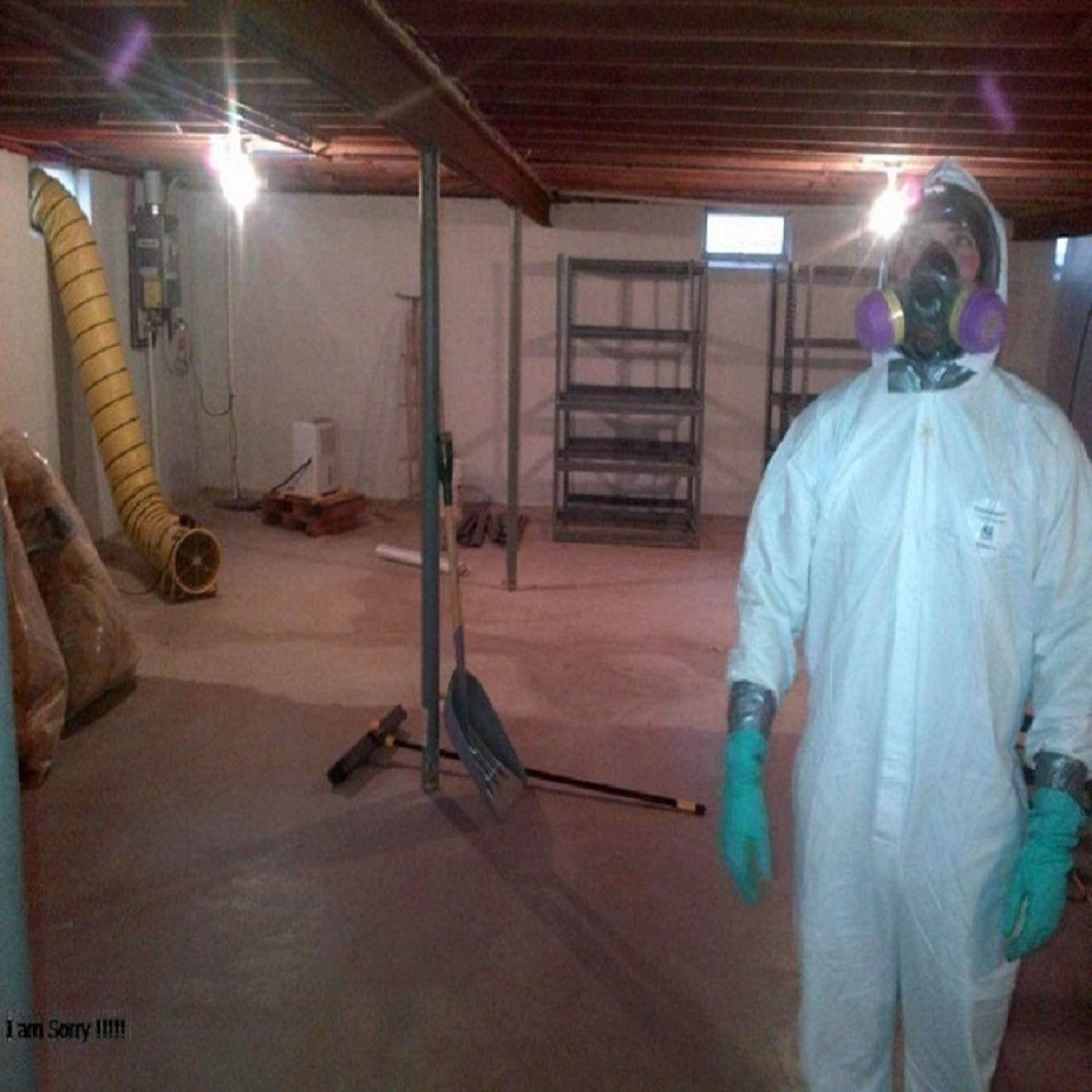 Oahu Mold Testing & Removal