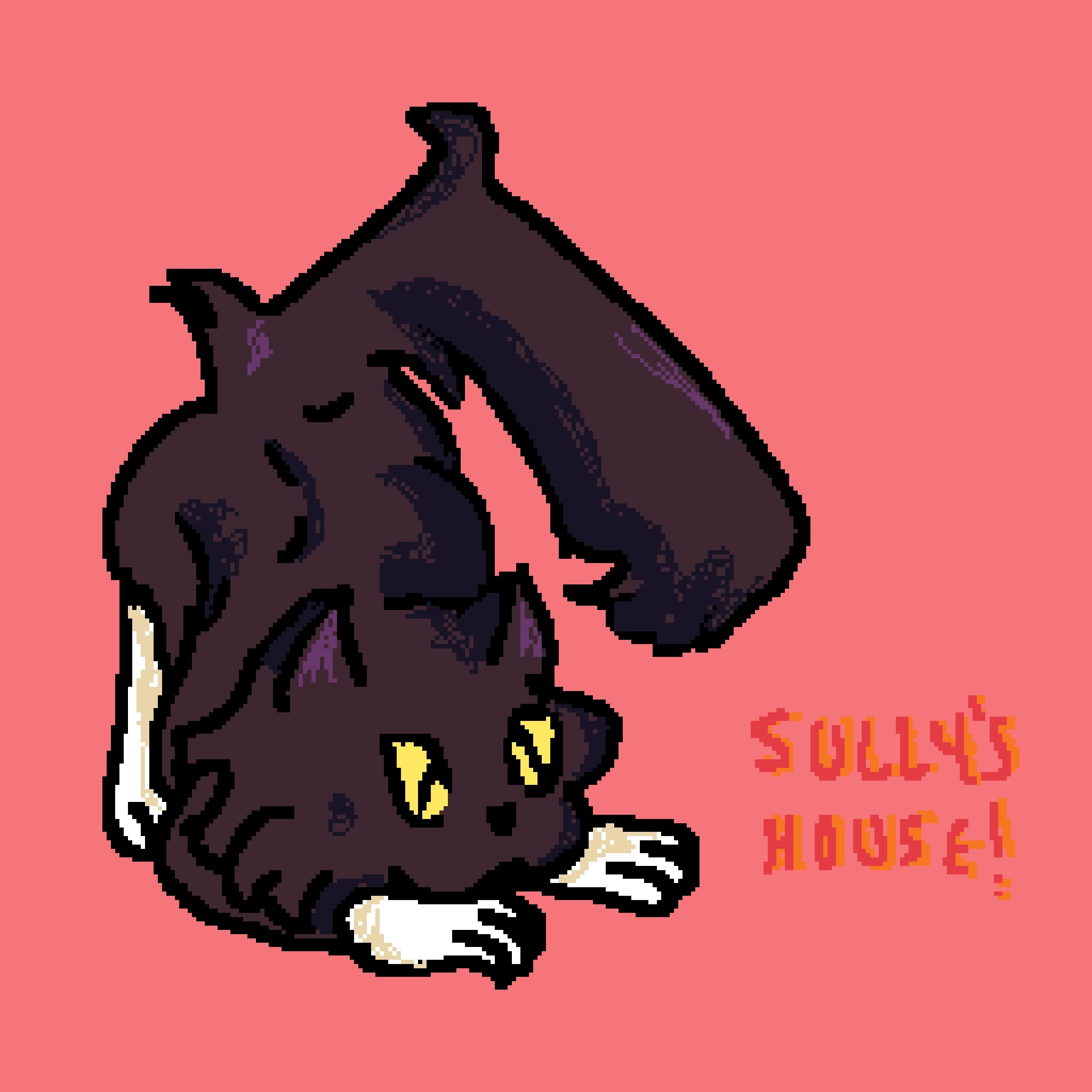 Sully's House