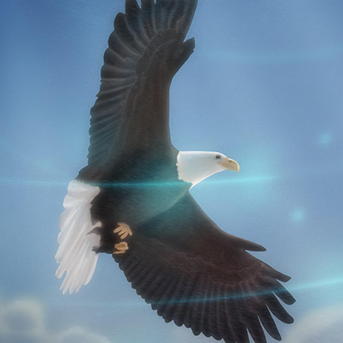 Small Business Liberty