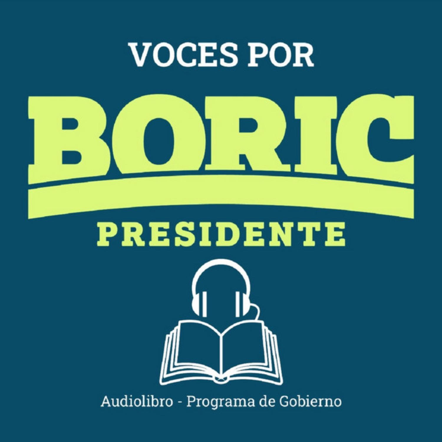 Pograma Gabriel Boric