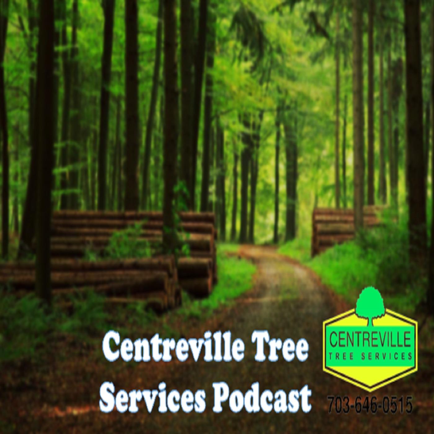 Centreville Tree Services