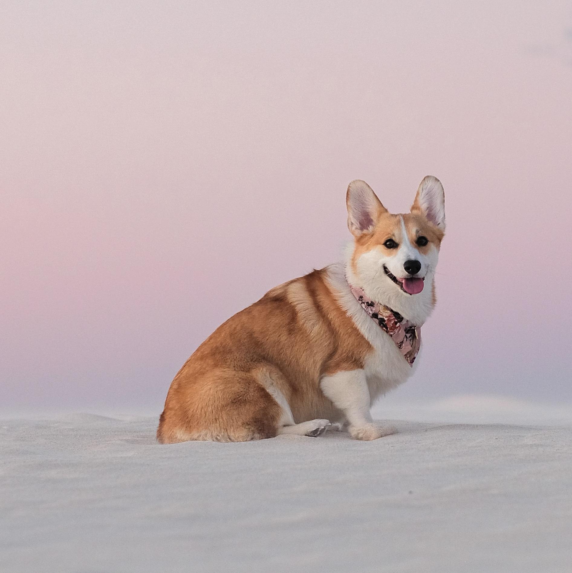 на кухне