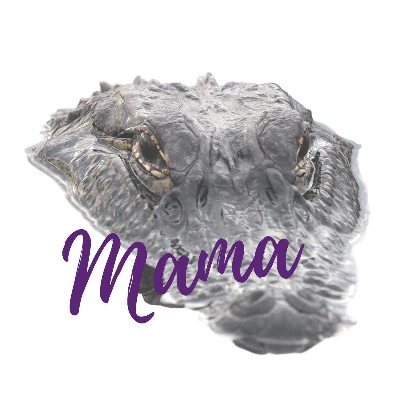 Just a Mama Gator