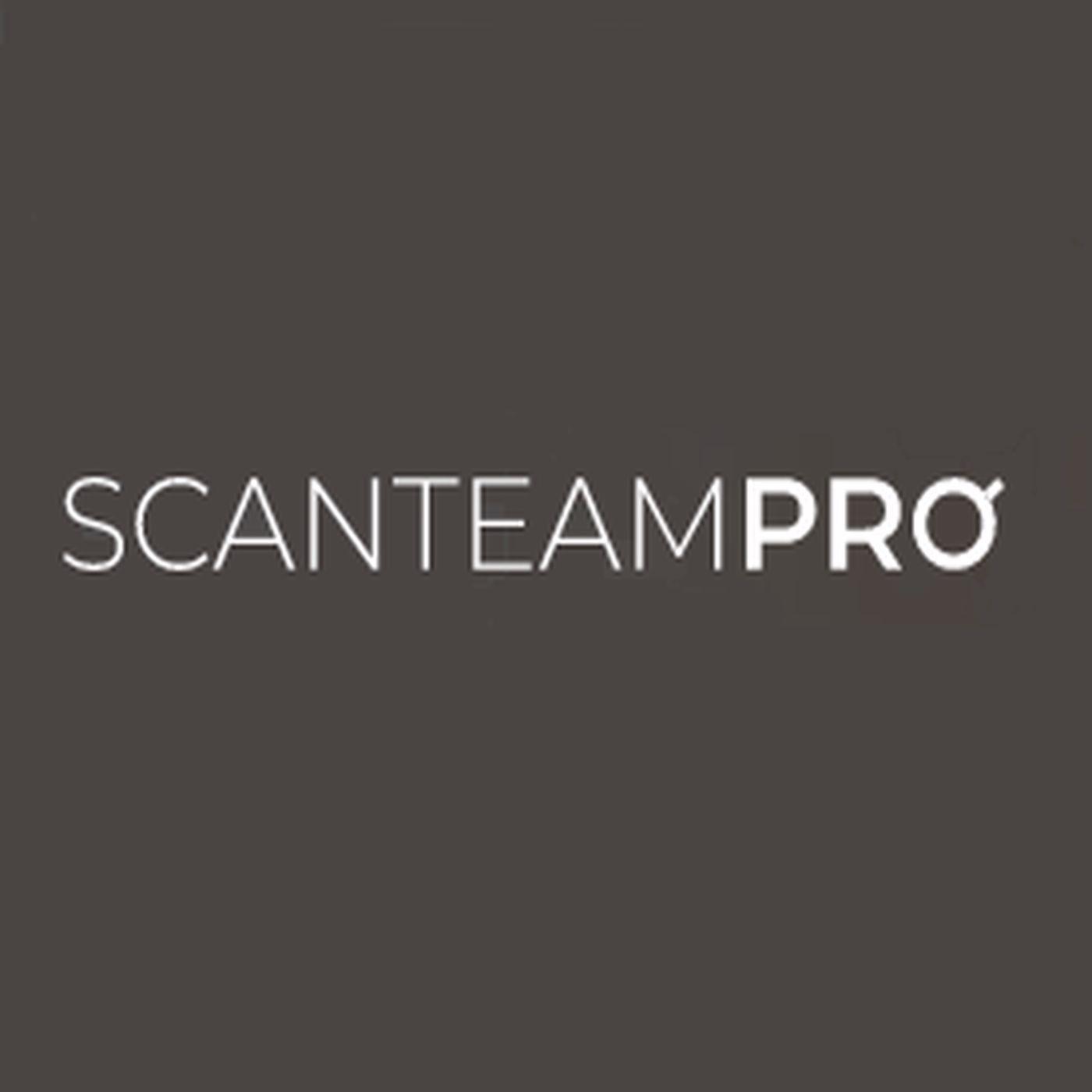 ScanTeam