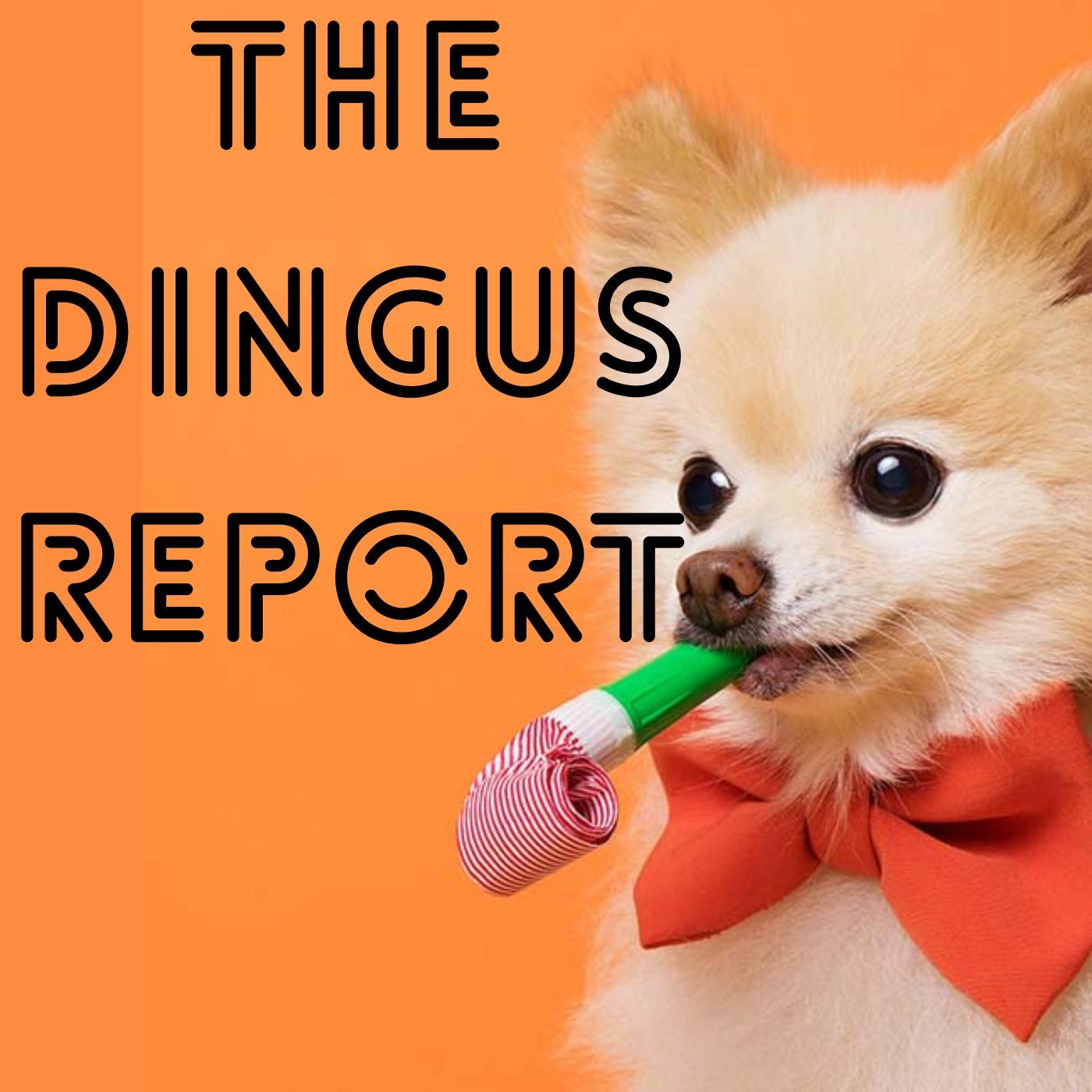 The Dingus Report
