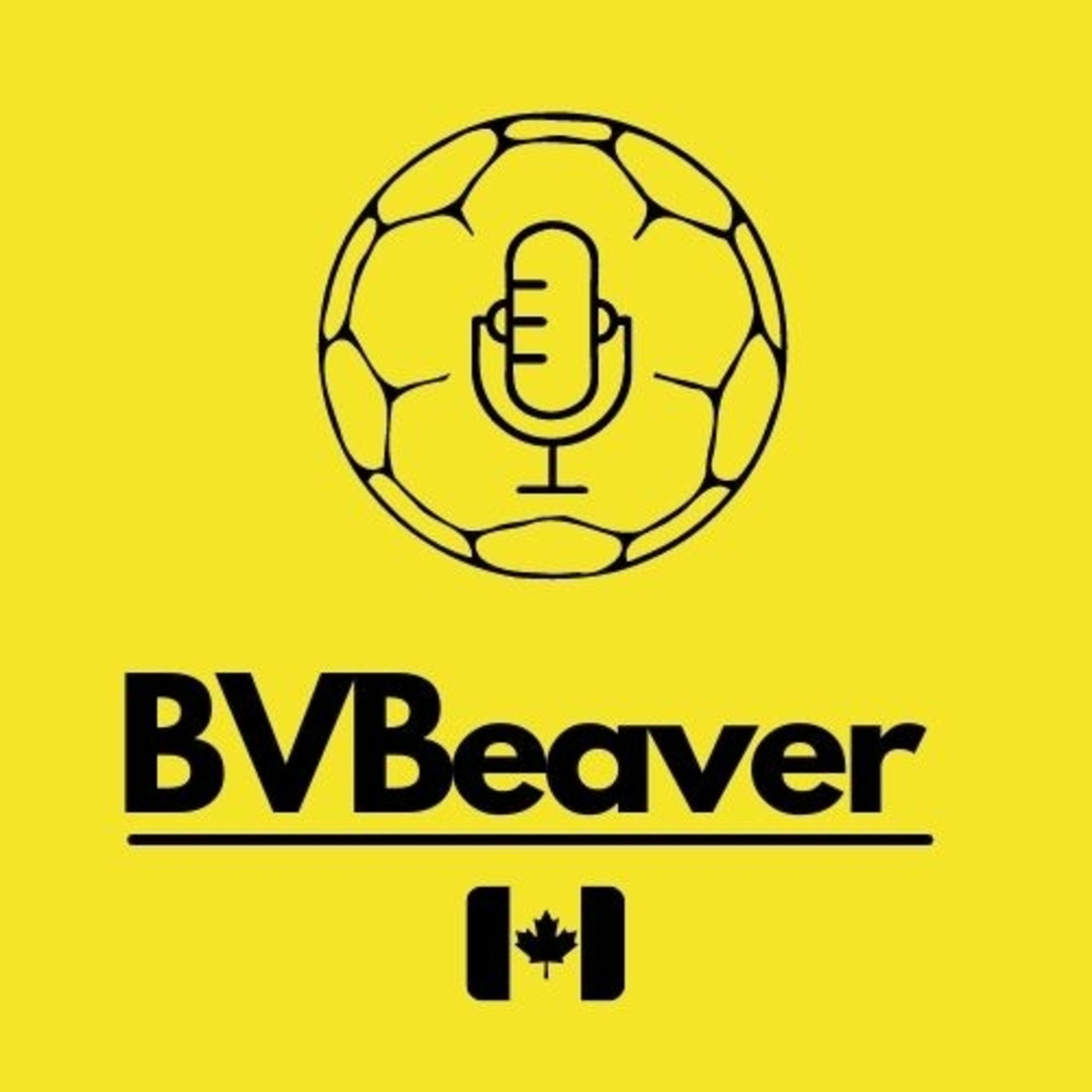 BVBeaver