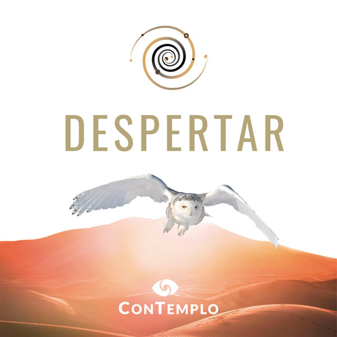 Desp