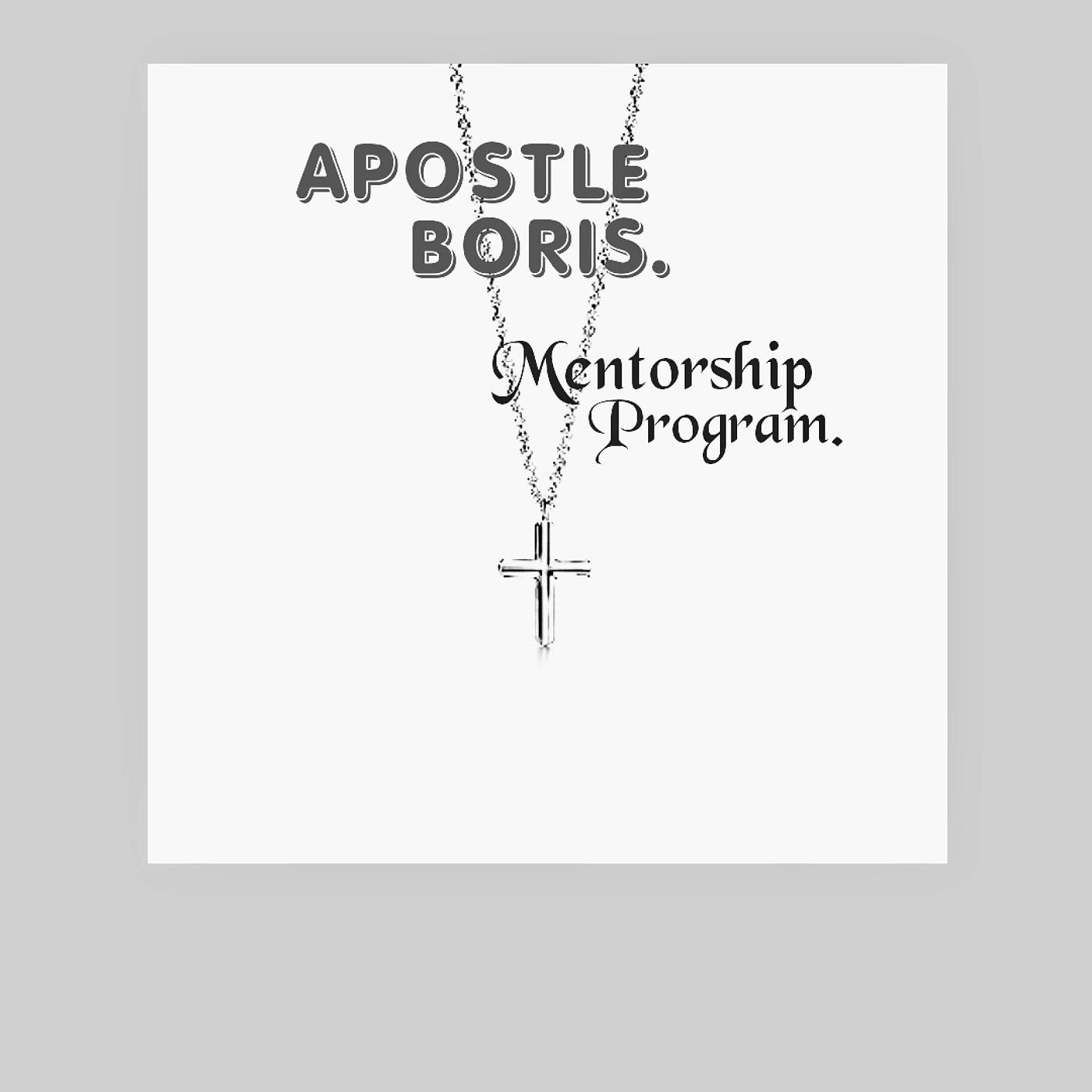 A.B Mentorship program.
