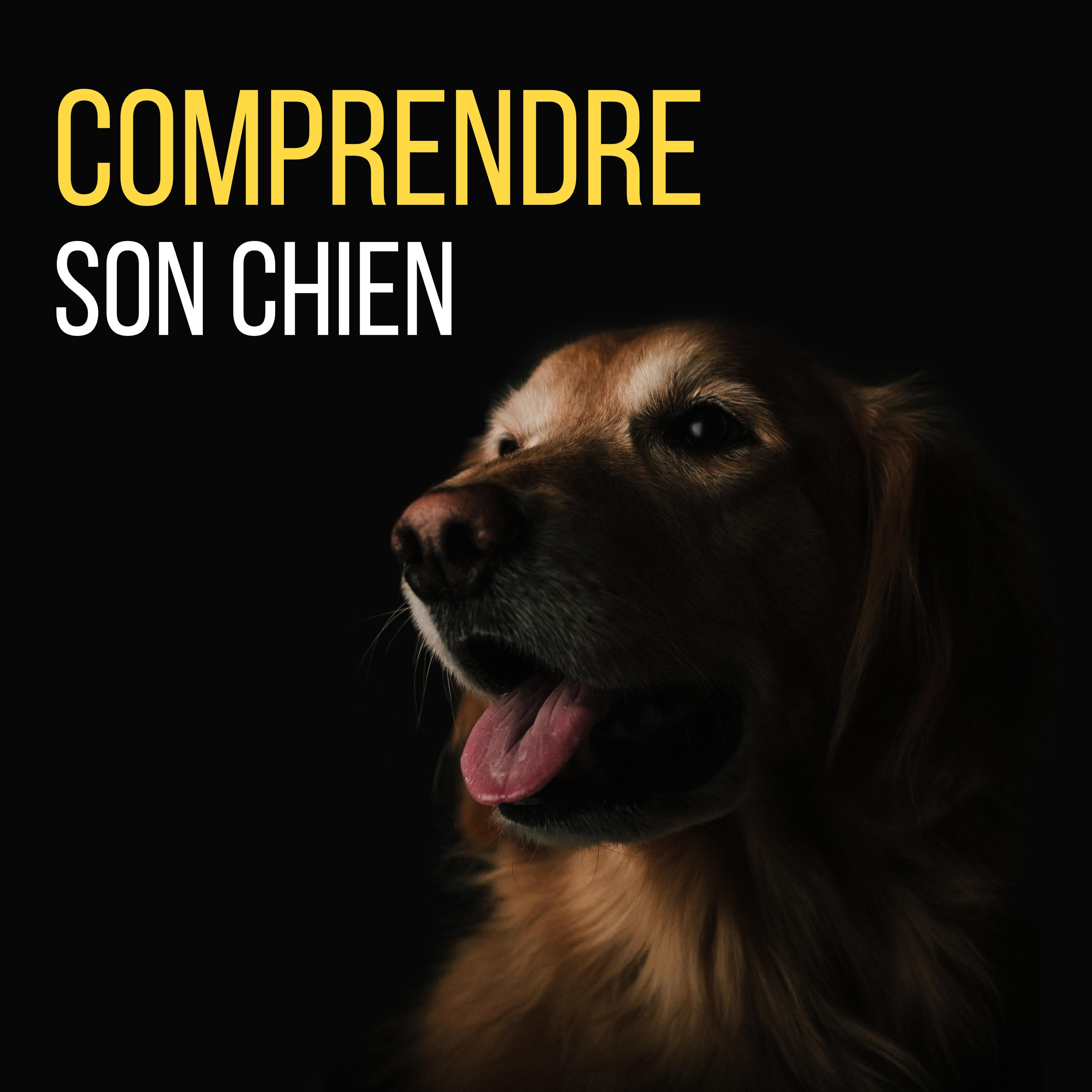 Comprendre son chien