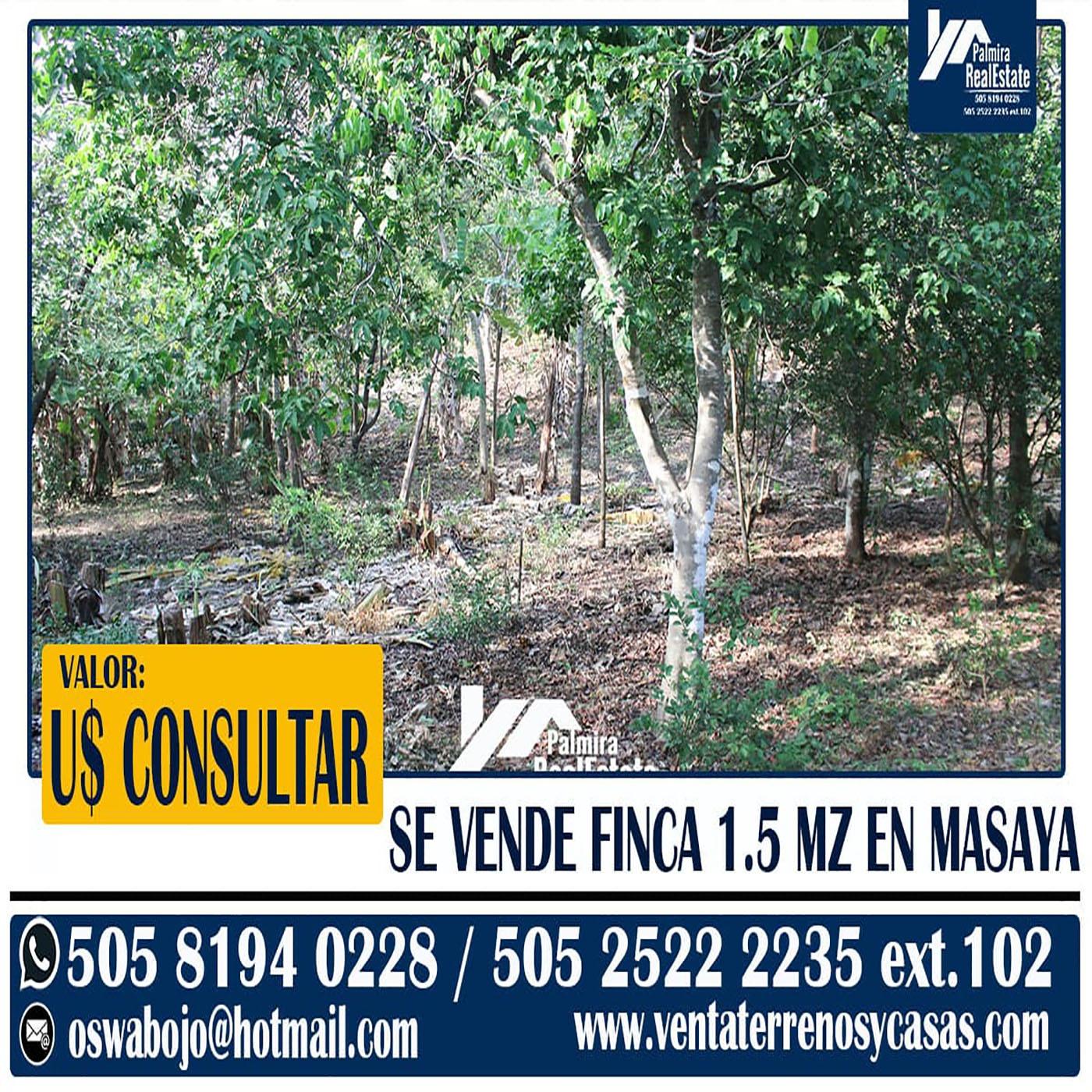 fincas agricolas en venta en masaya