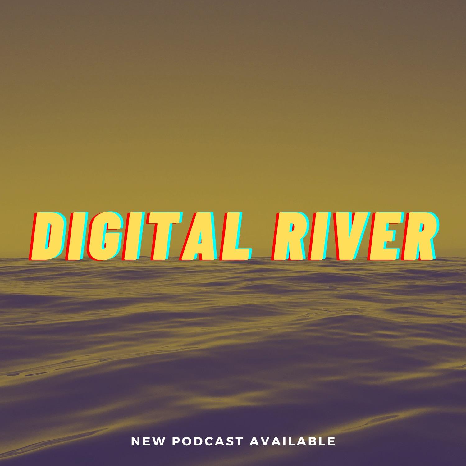 DIGITAL RIVER