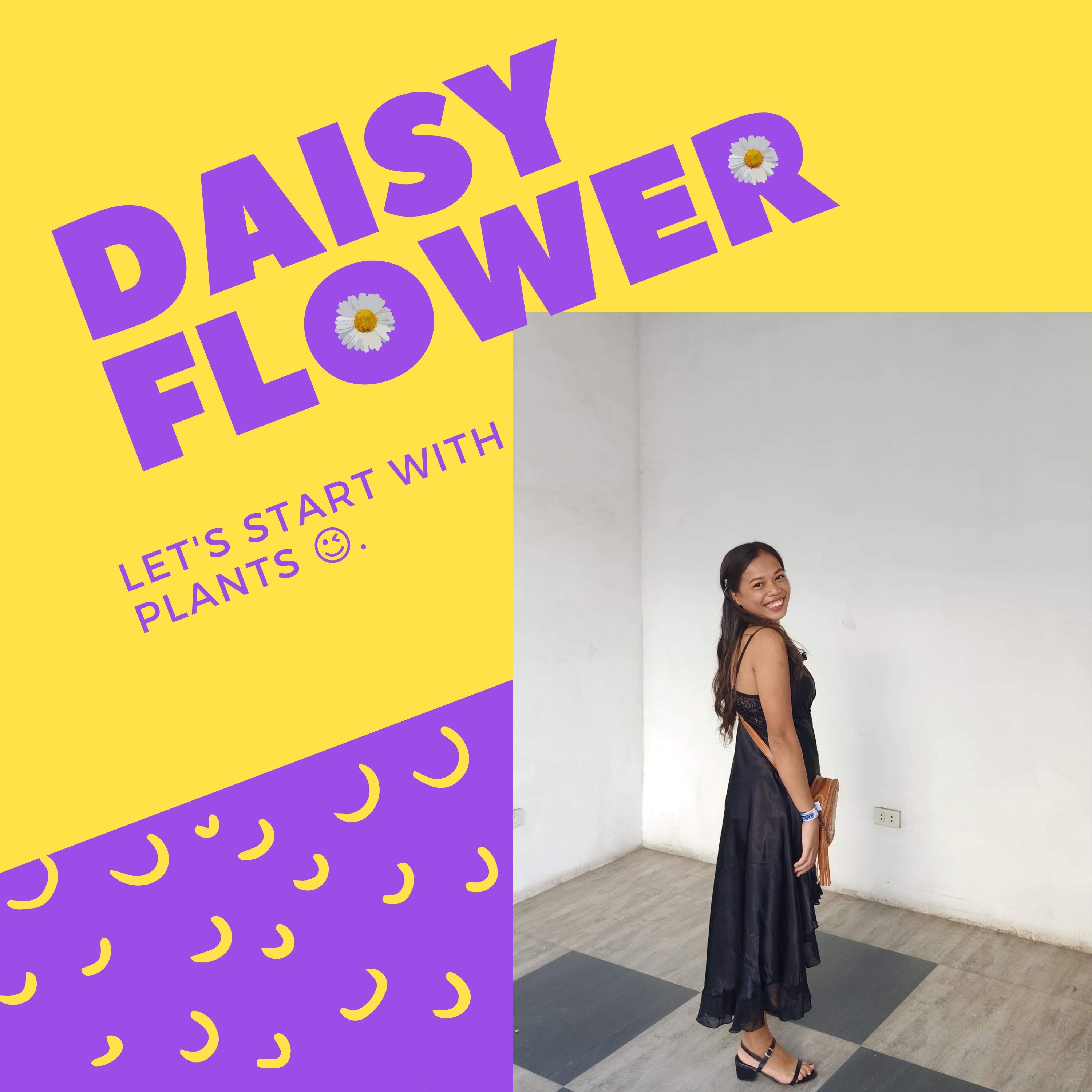 Daisy Flower