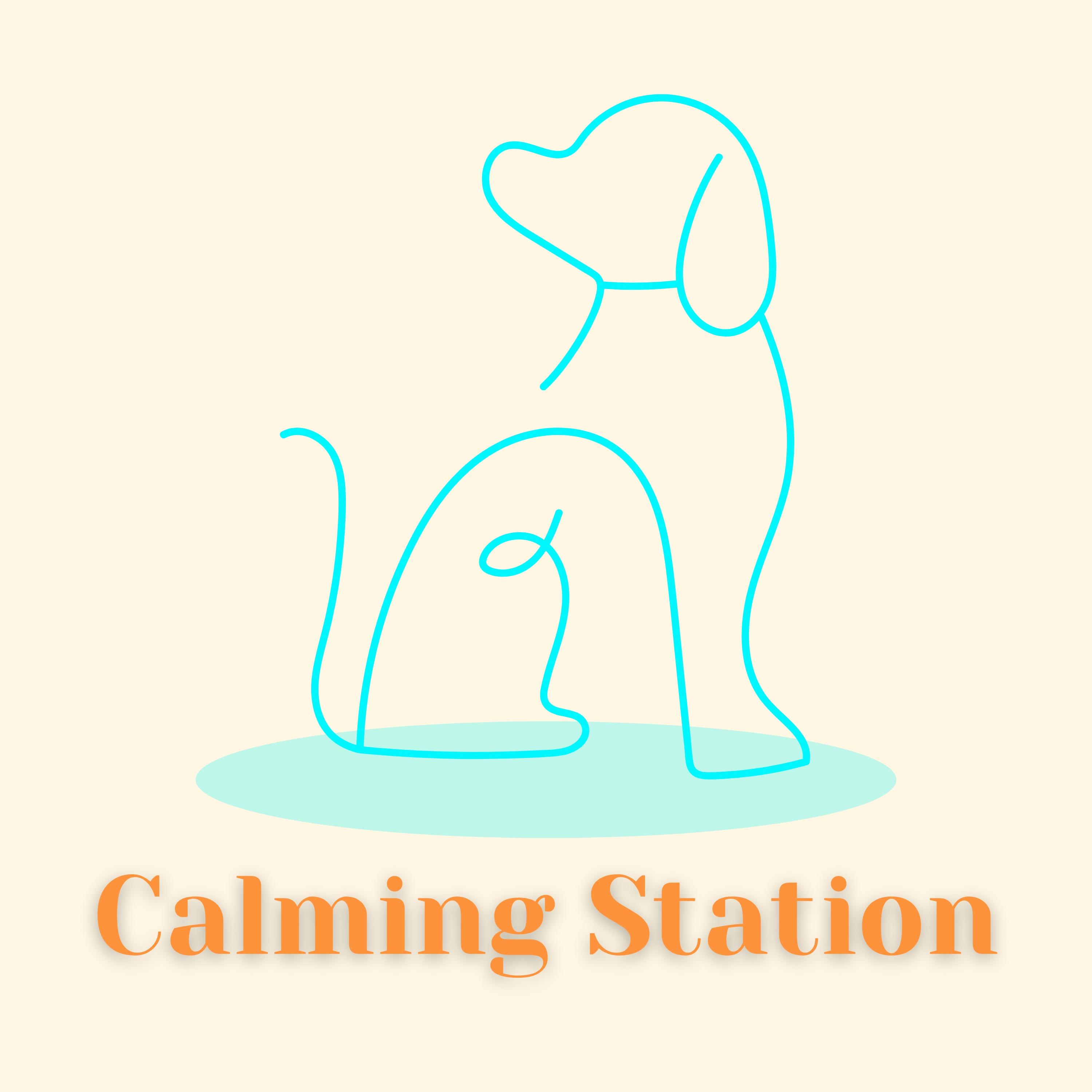 Calming Station