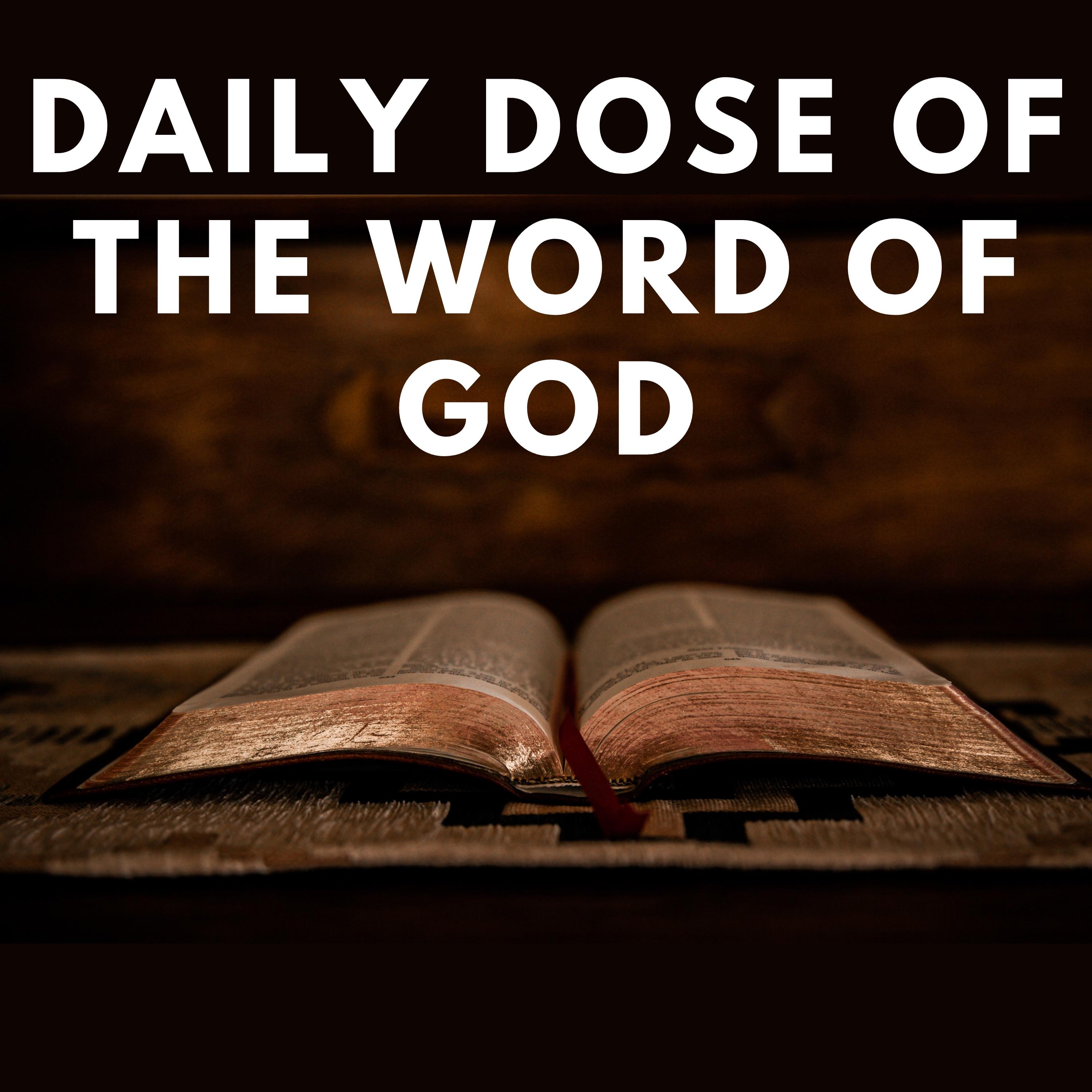 Daily Dose Of The Word Of God
