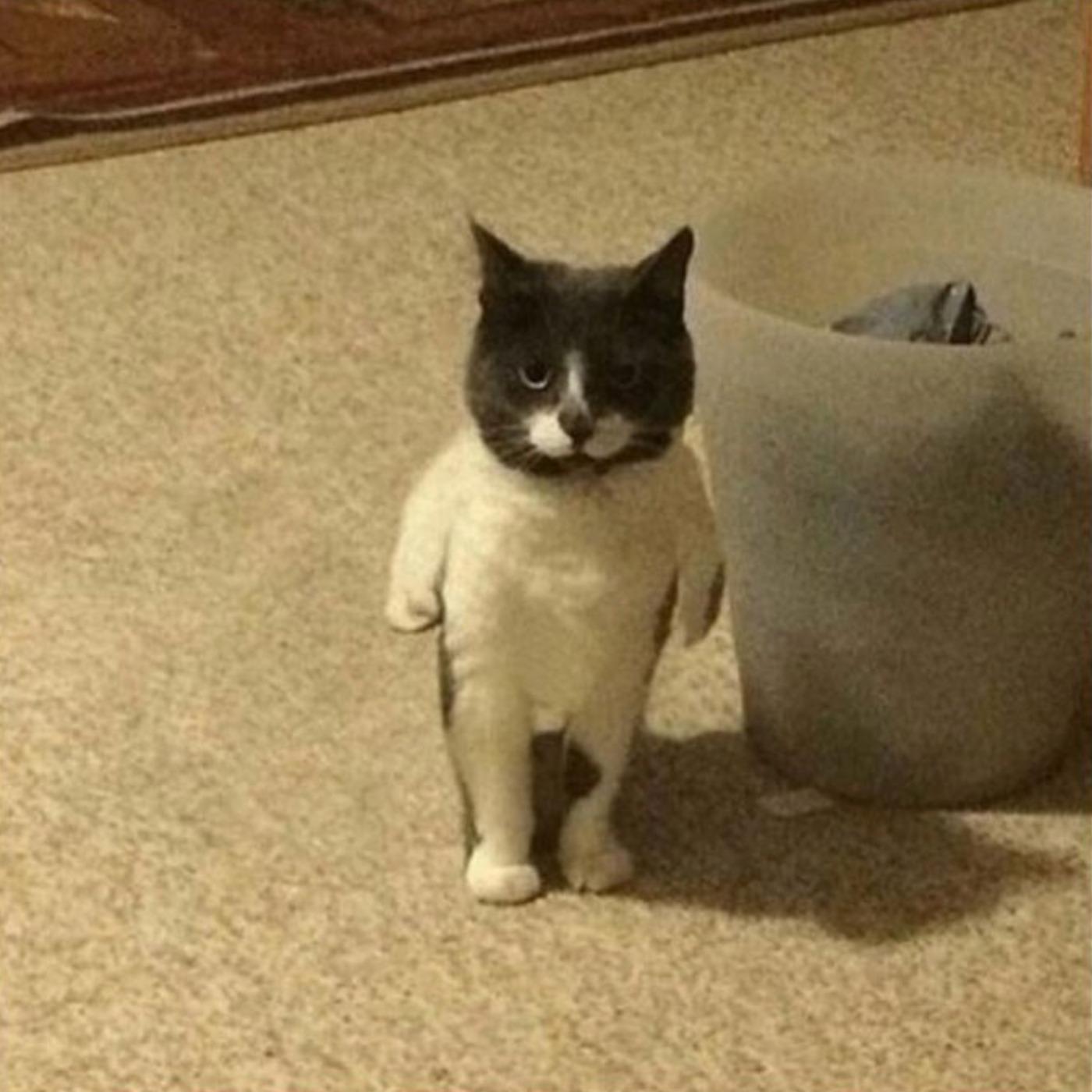 What am i doing?