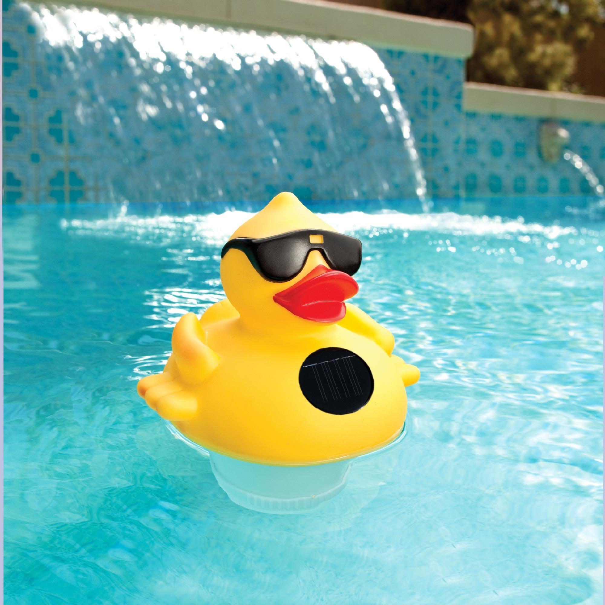 Waves Ducks Podcast