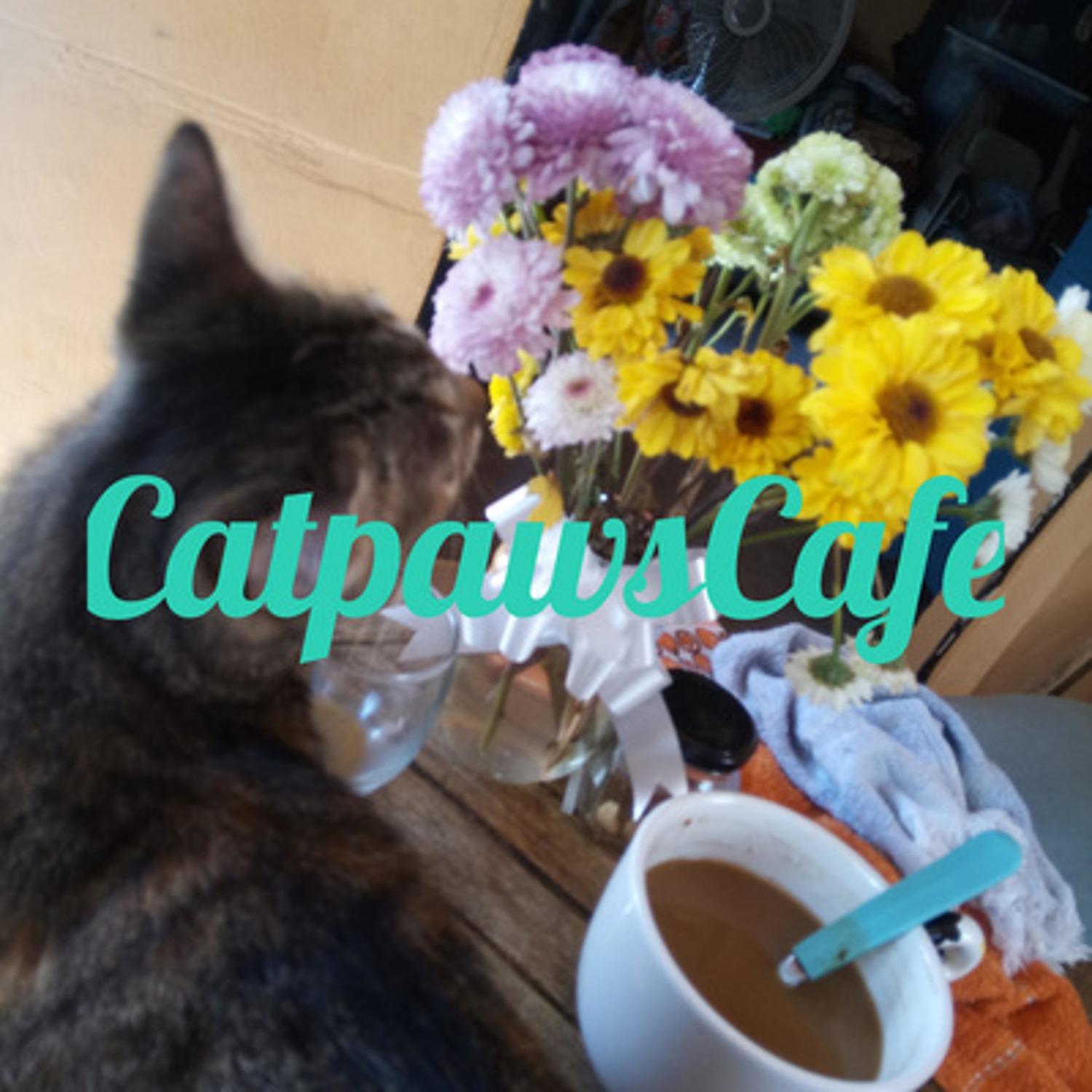 CatpawsCafe