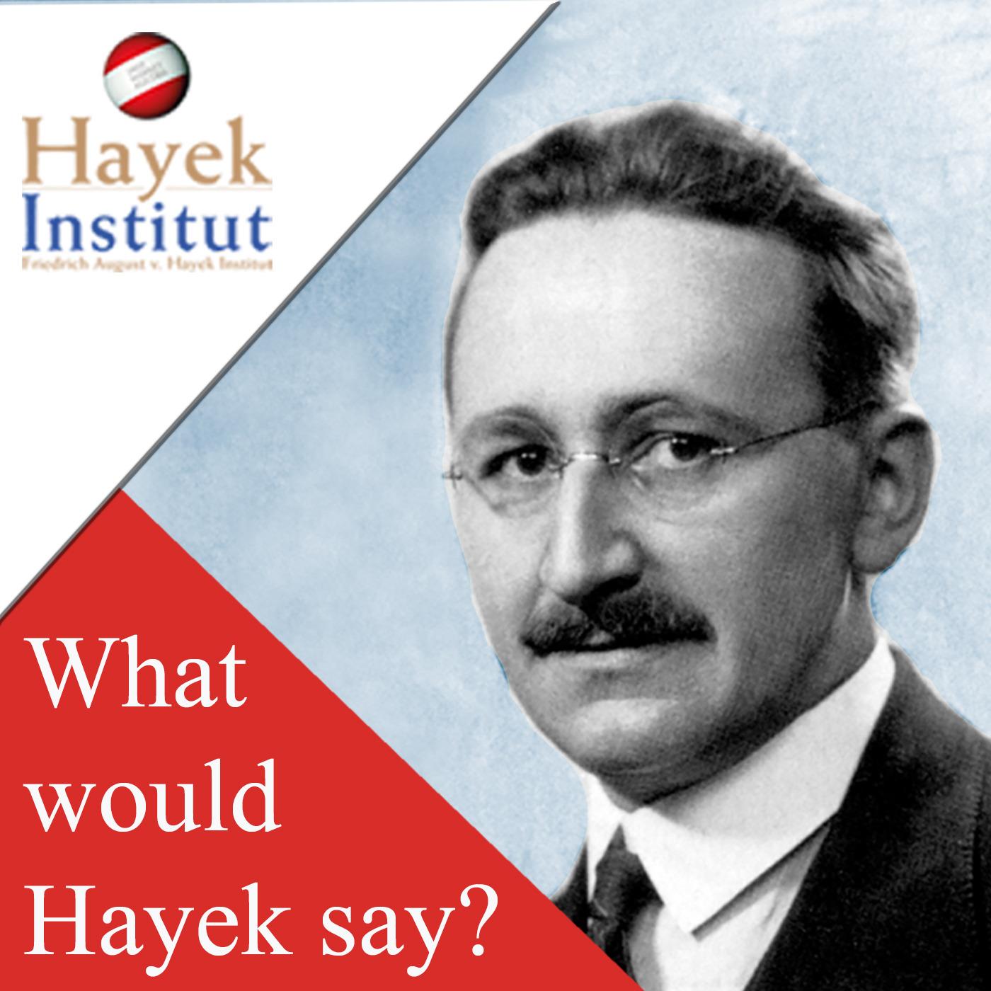 What Would Hayek Say?