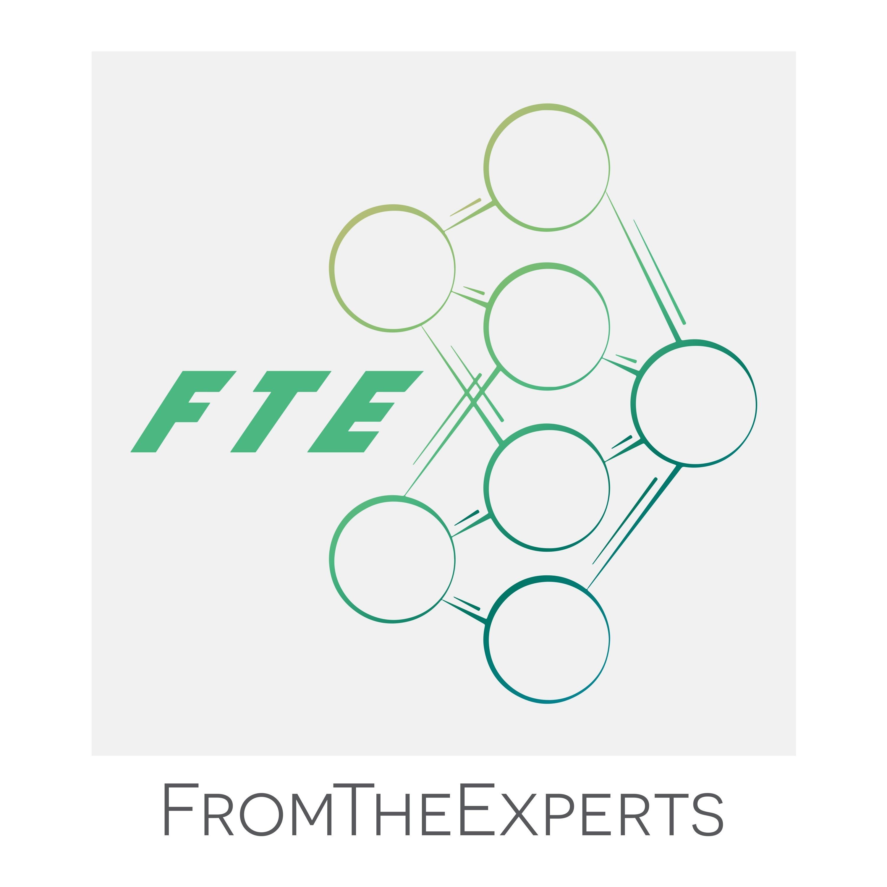 From The Experts (FTE)™