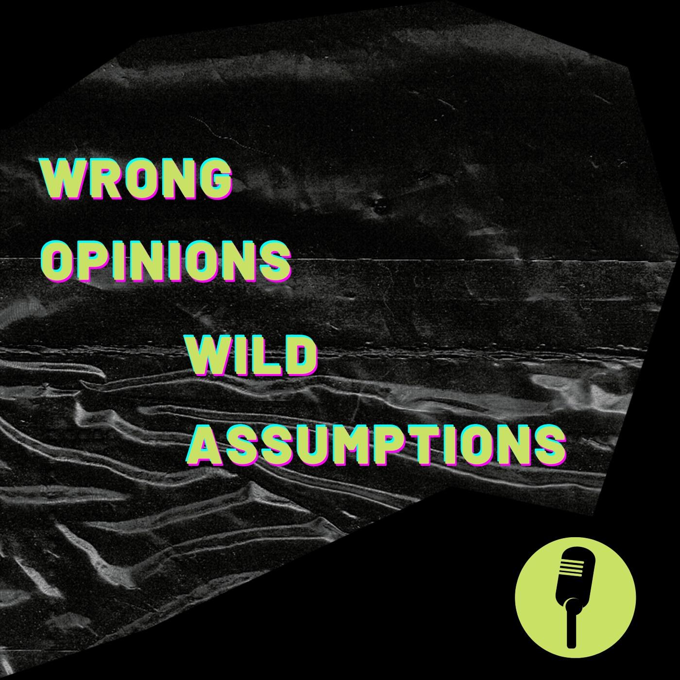 Wrong Opinions Wild Assumptions