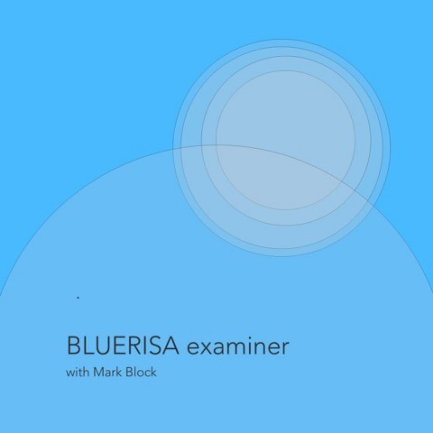 BLUERISA Examiner