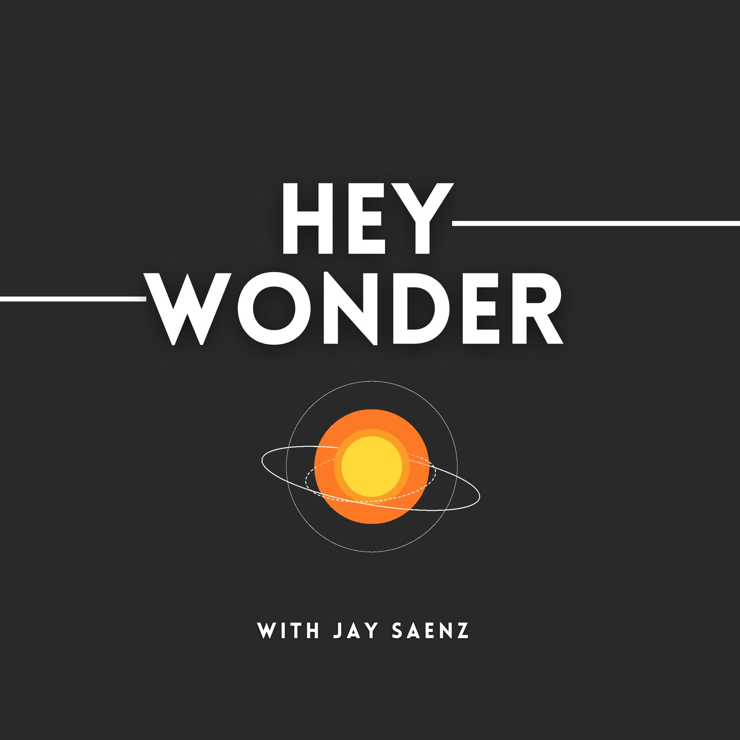 Hey Wonder