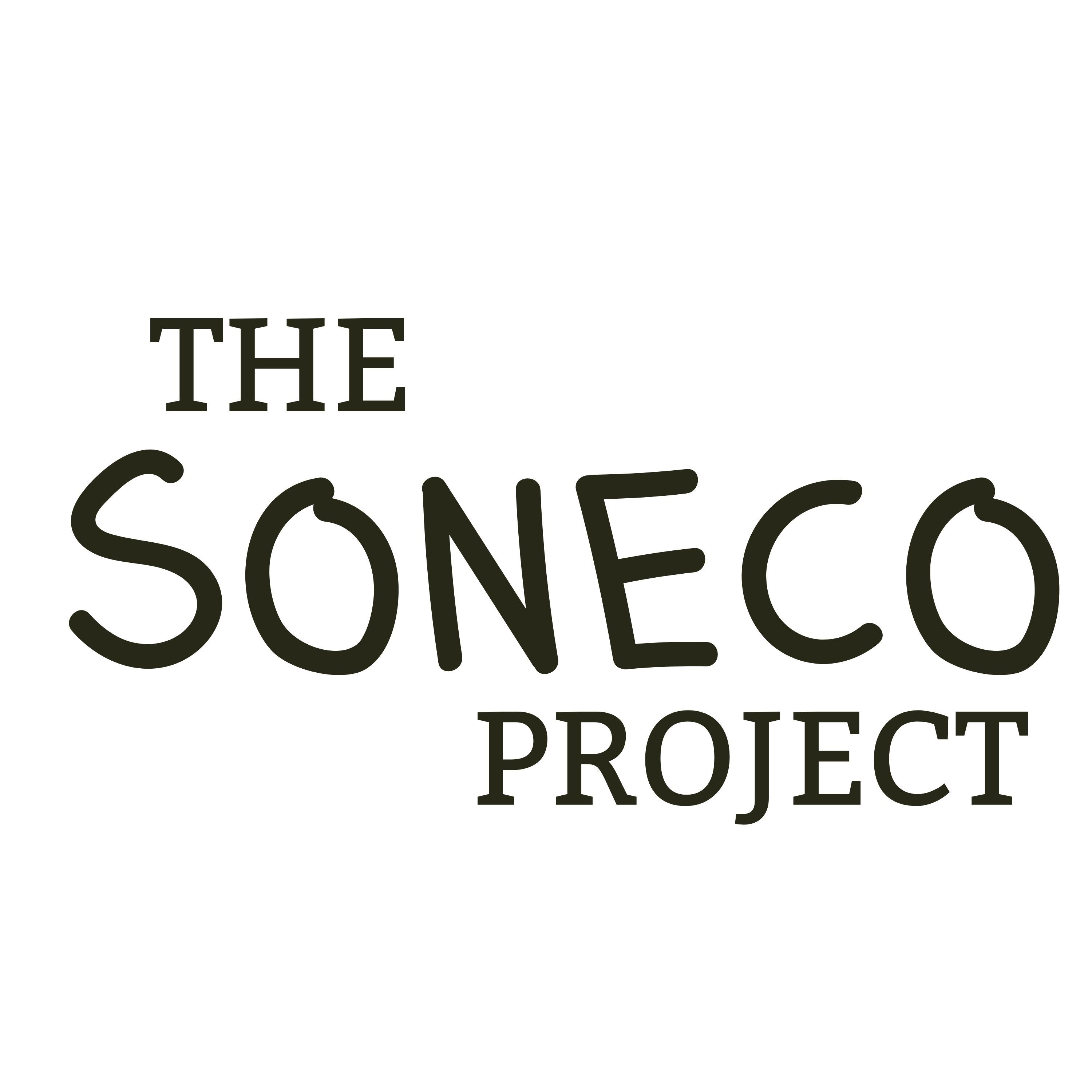 The Soneco Project