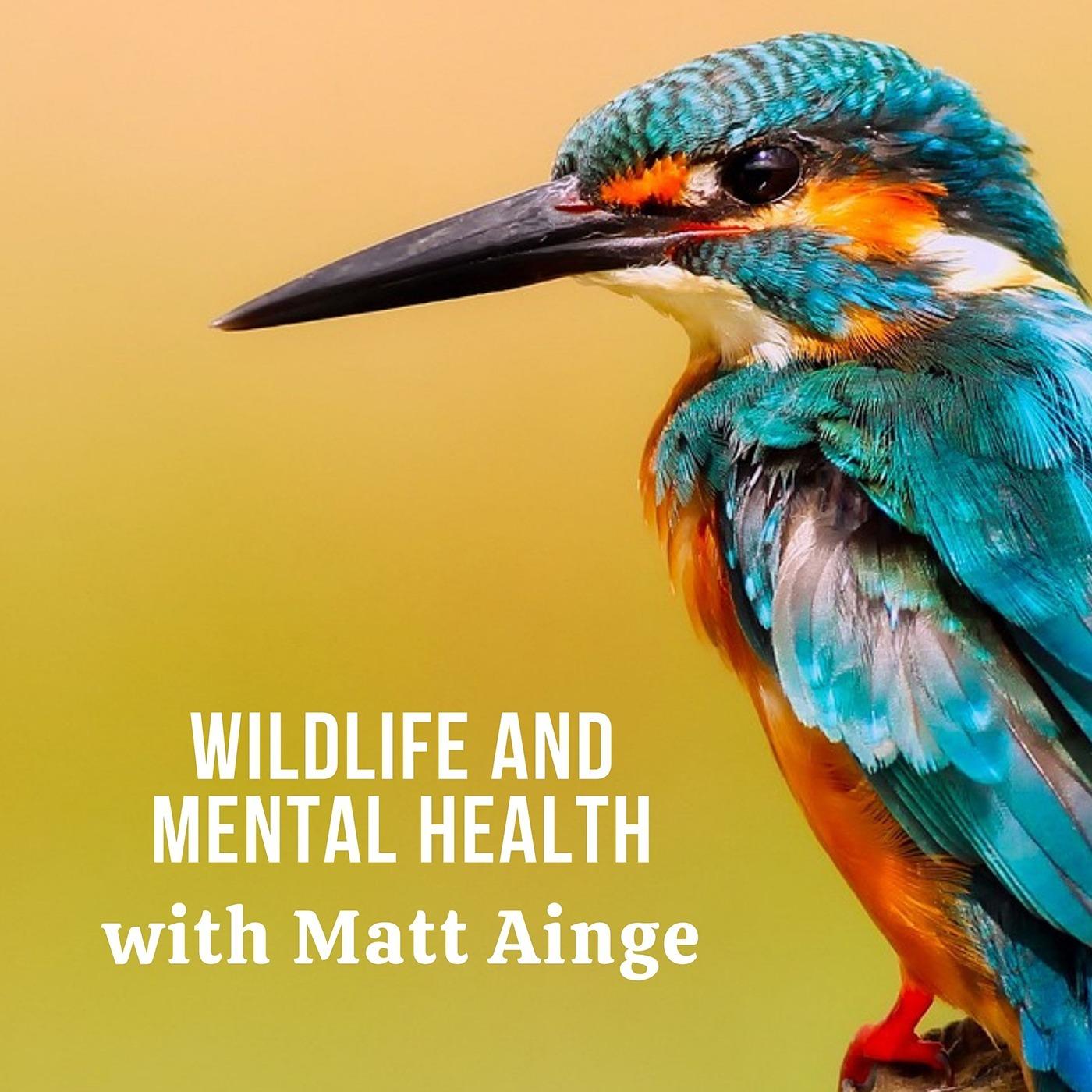Wildlife and Mental Health with Matt Ainge