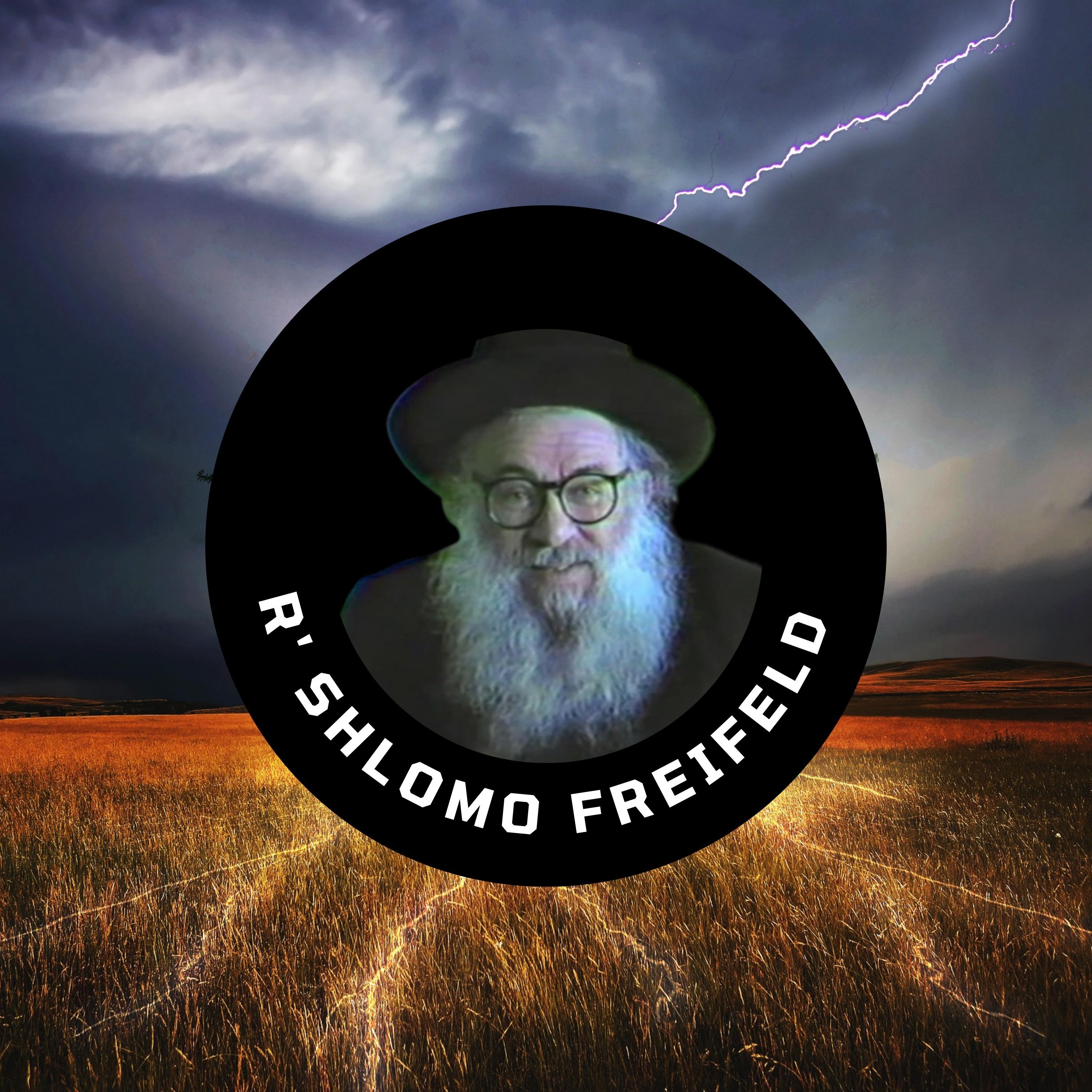 Rabbi Shlomo Freifeld