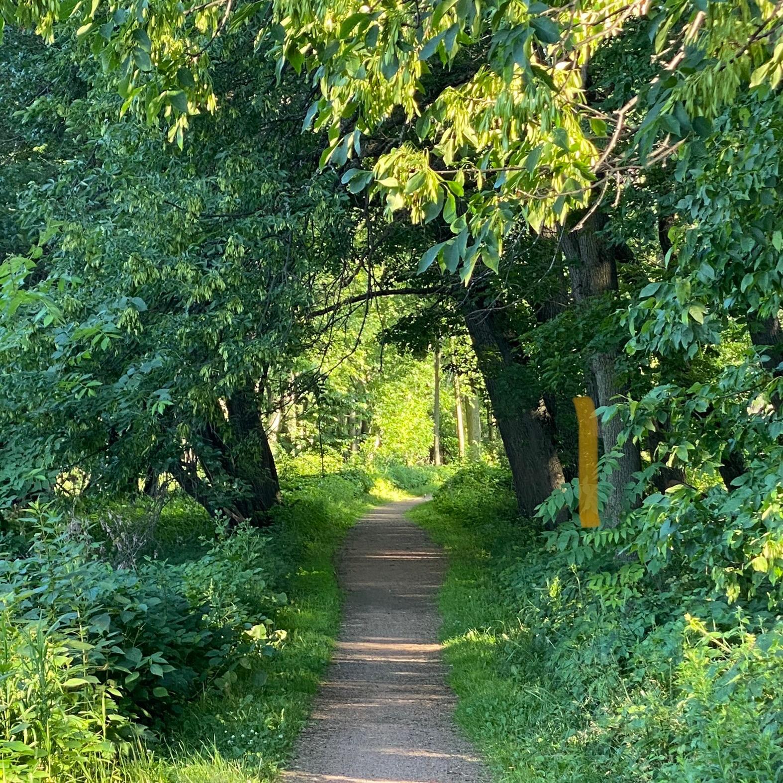 Frontline Ready
