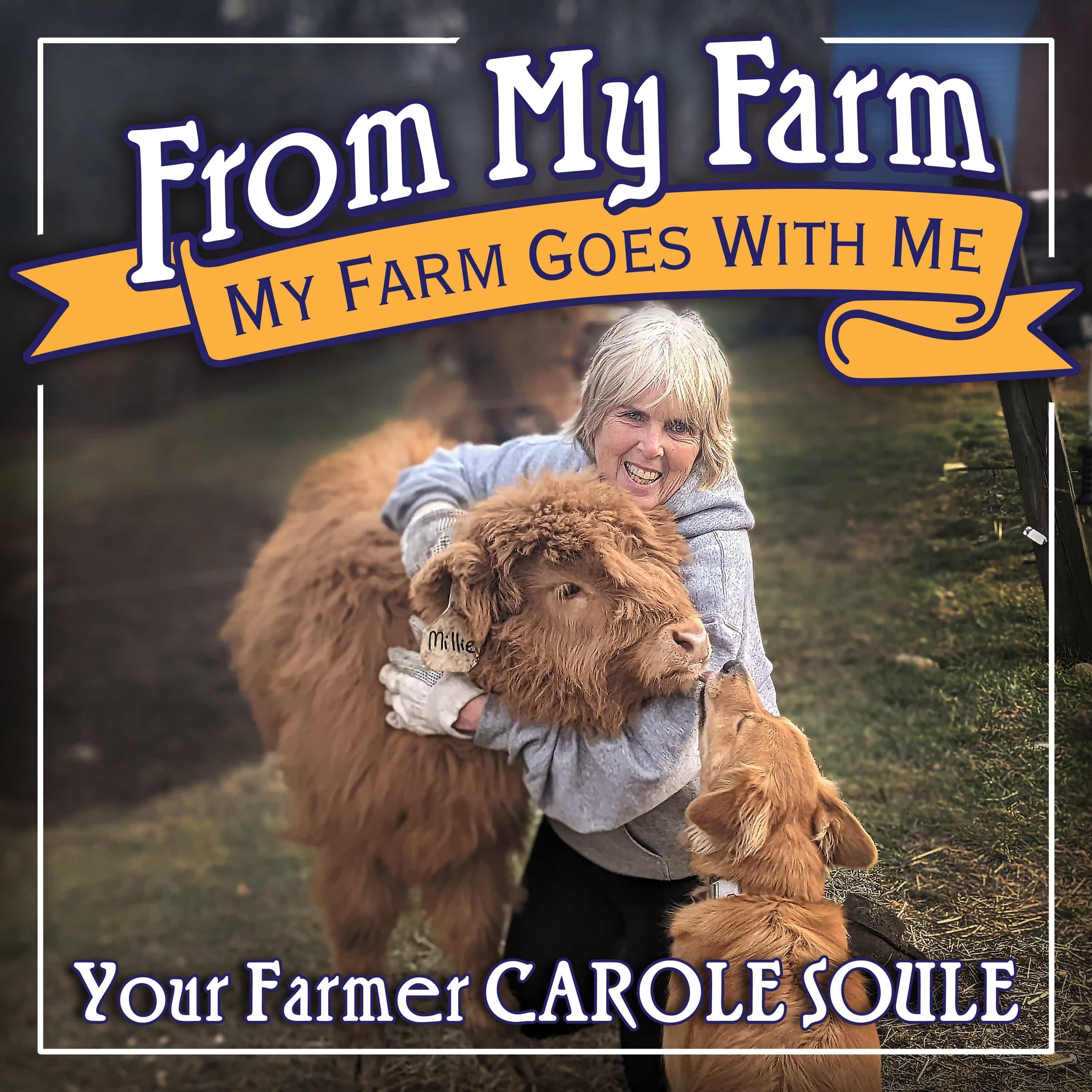 From My Farm: My Farm Goes With Me