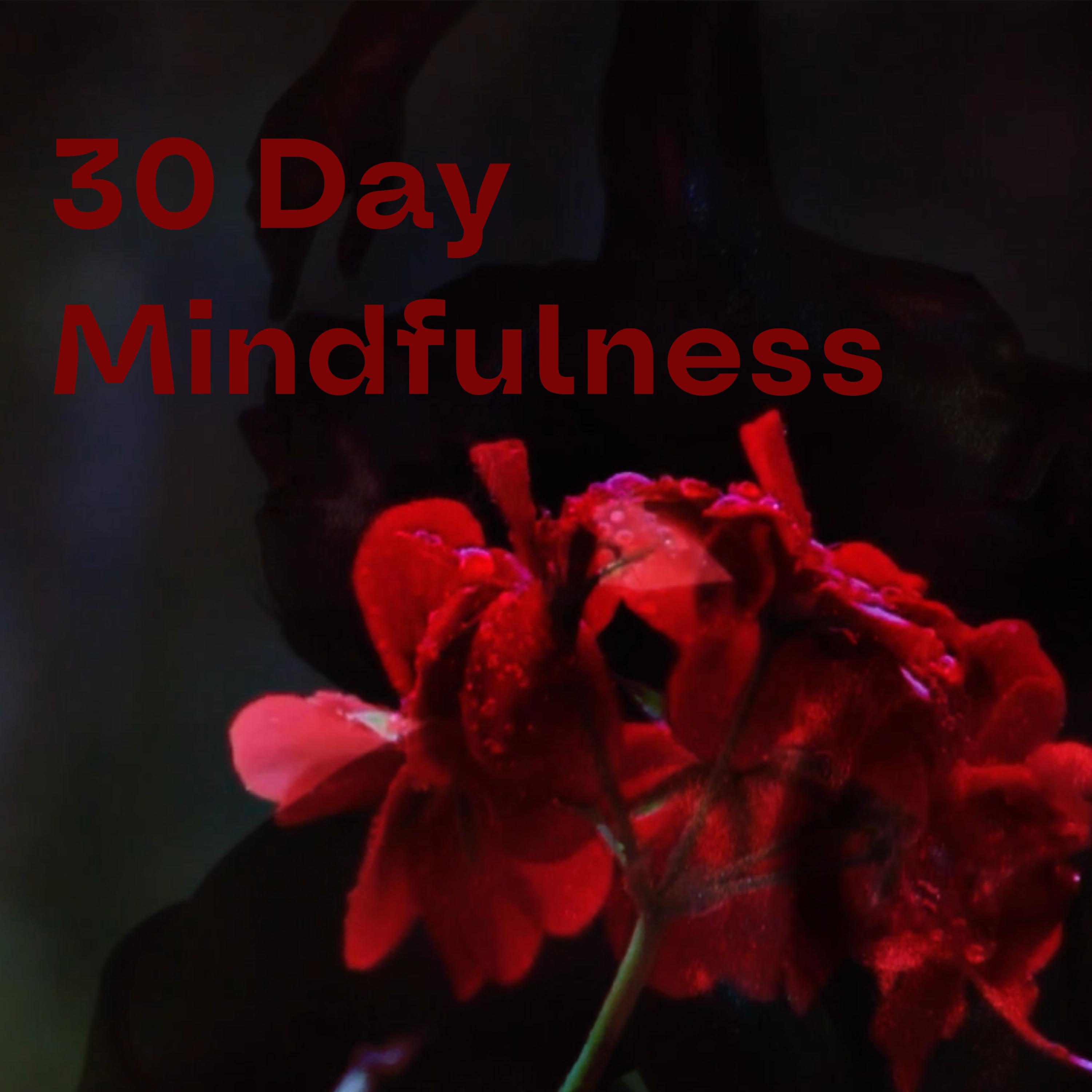 30 Day Mindfulness