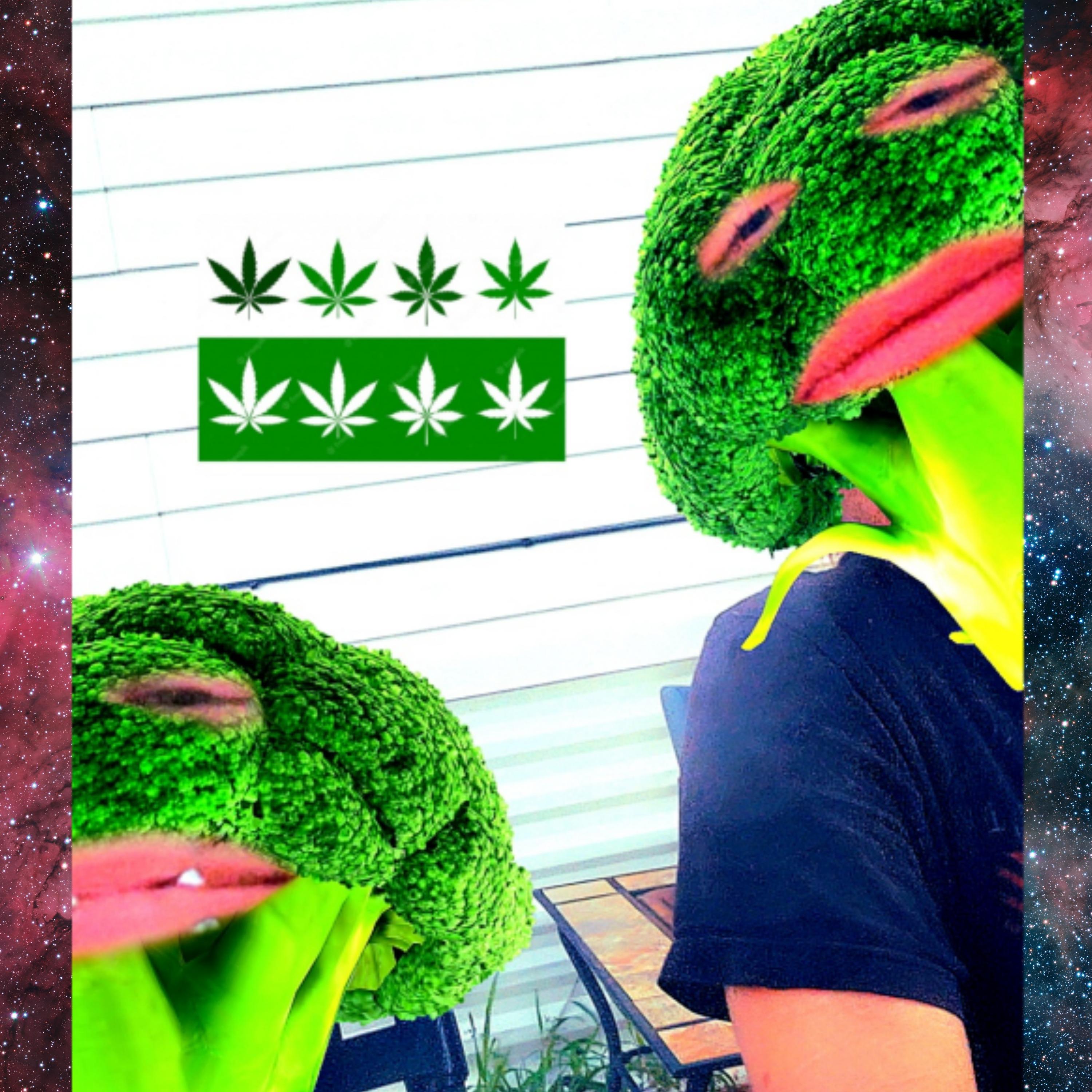 Broccoli Boys
