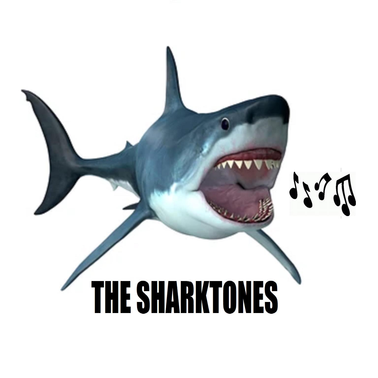 SHARKTONES POCAST #1