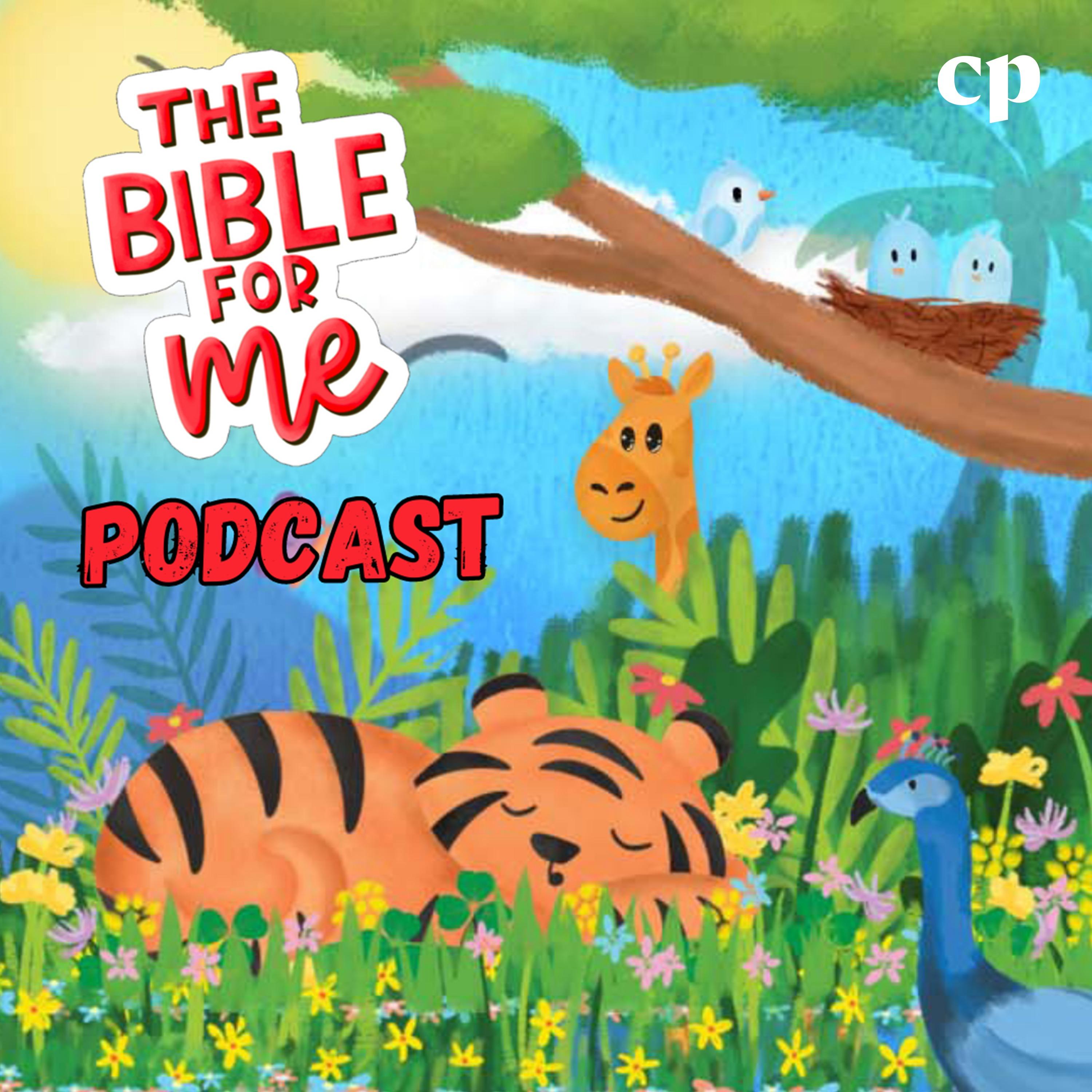 The Bible for Me Podcast