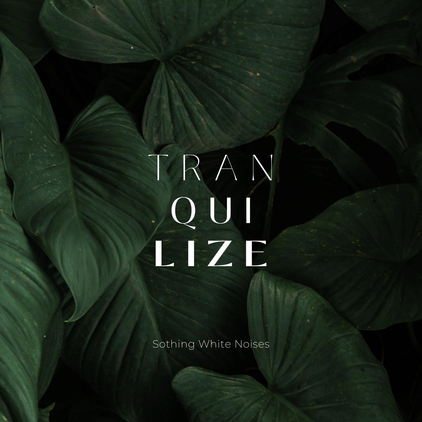 Traquilize - Sothing White Noises