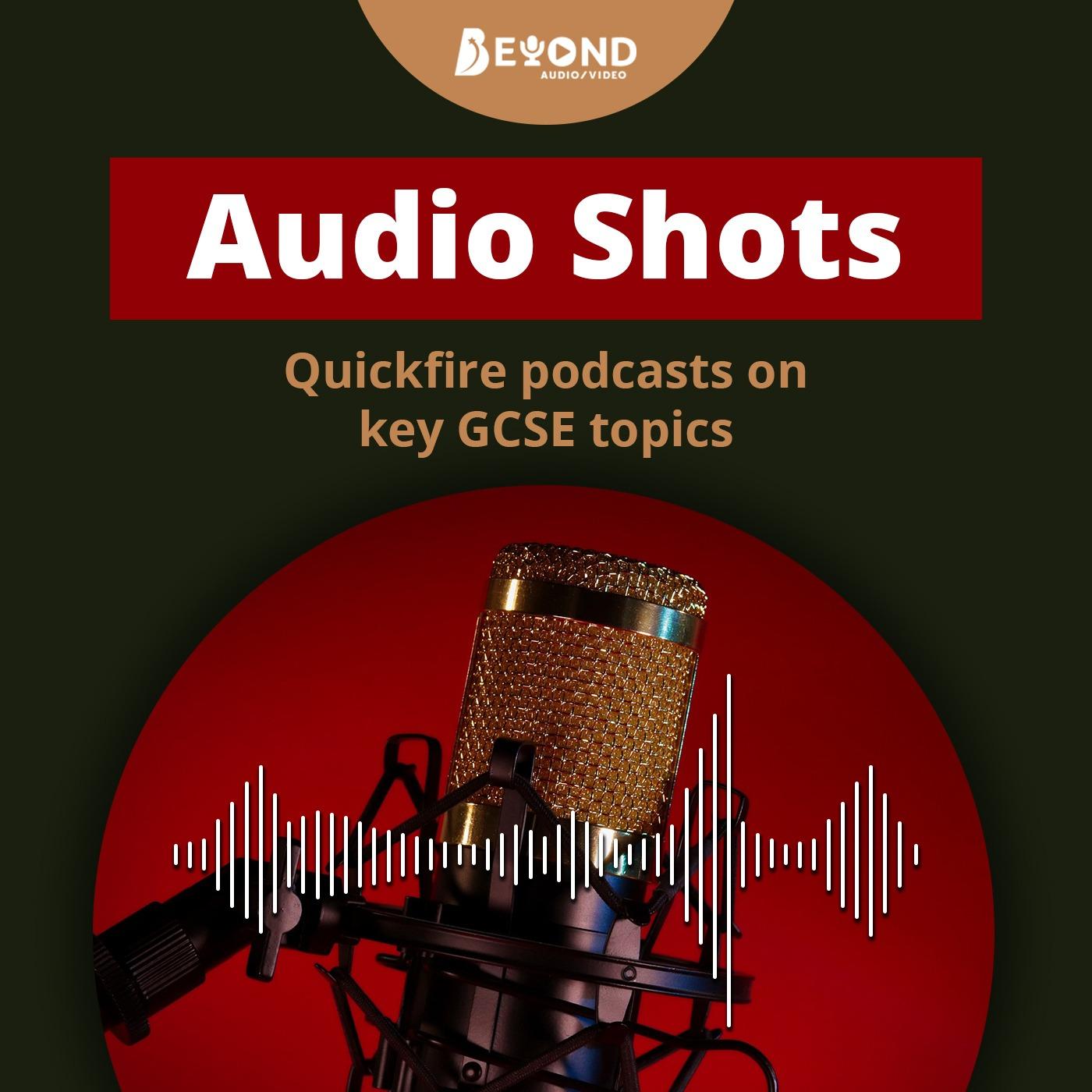 GCSE Audio Shots - quickfire revision