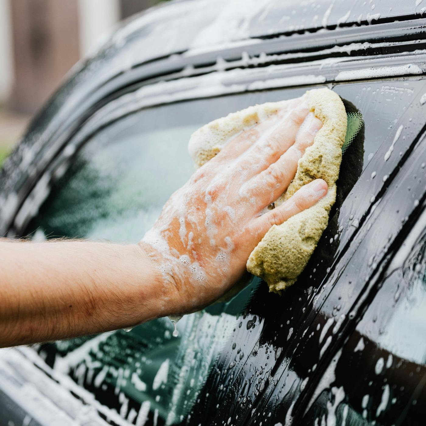 Tint Talk: The Window to Smarter Solutions