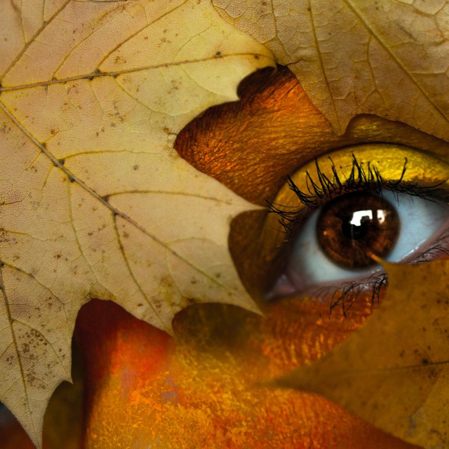 Through the Eyes Of Kay